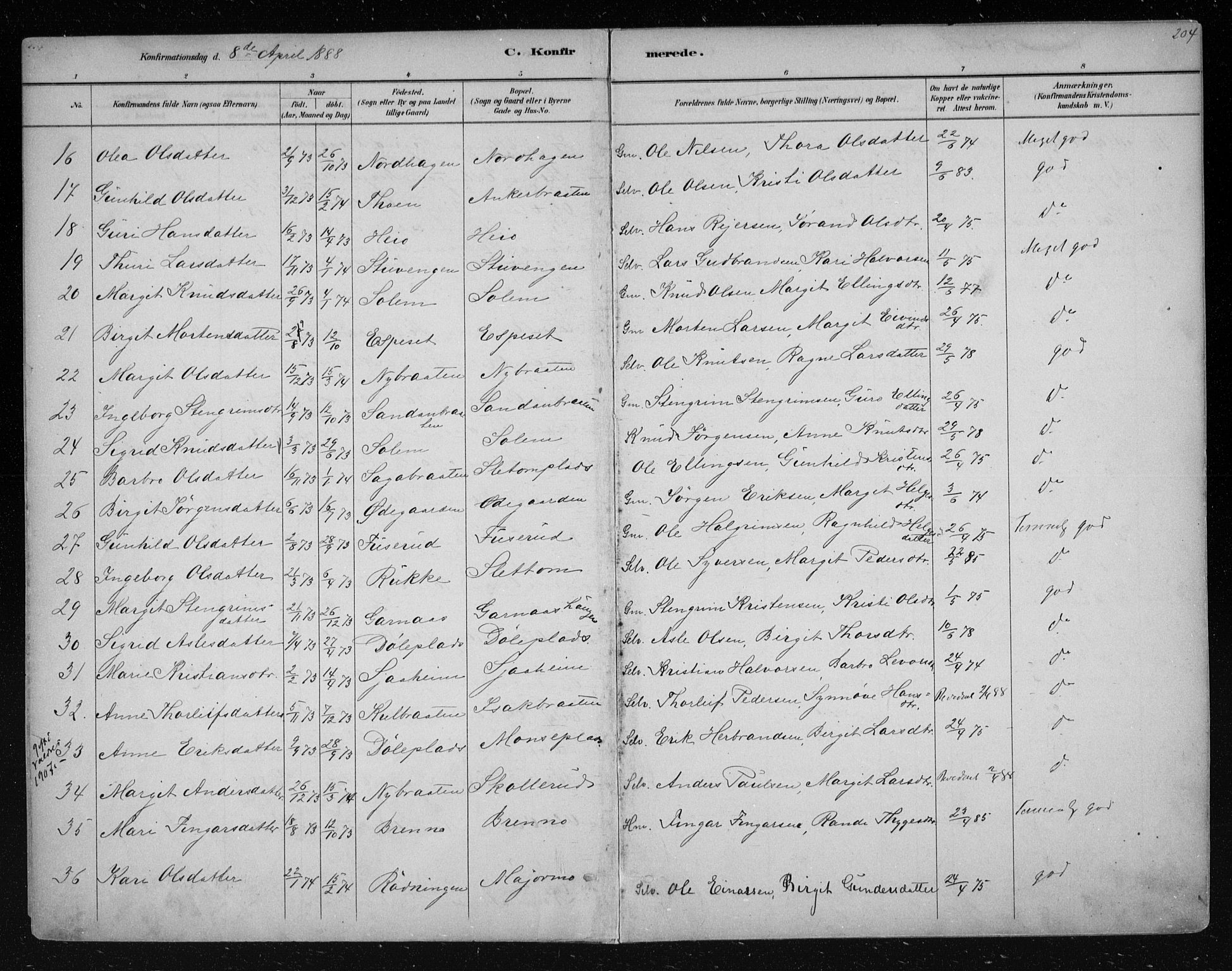 Nes kirkebøker, AV/SAKO-A-236/F/Fa/L0011: Parish register (official) no. 11, 1881-1912, p. 204