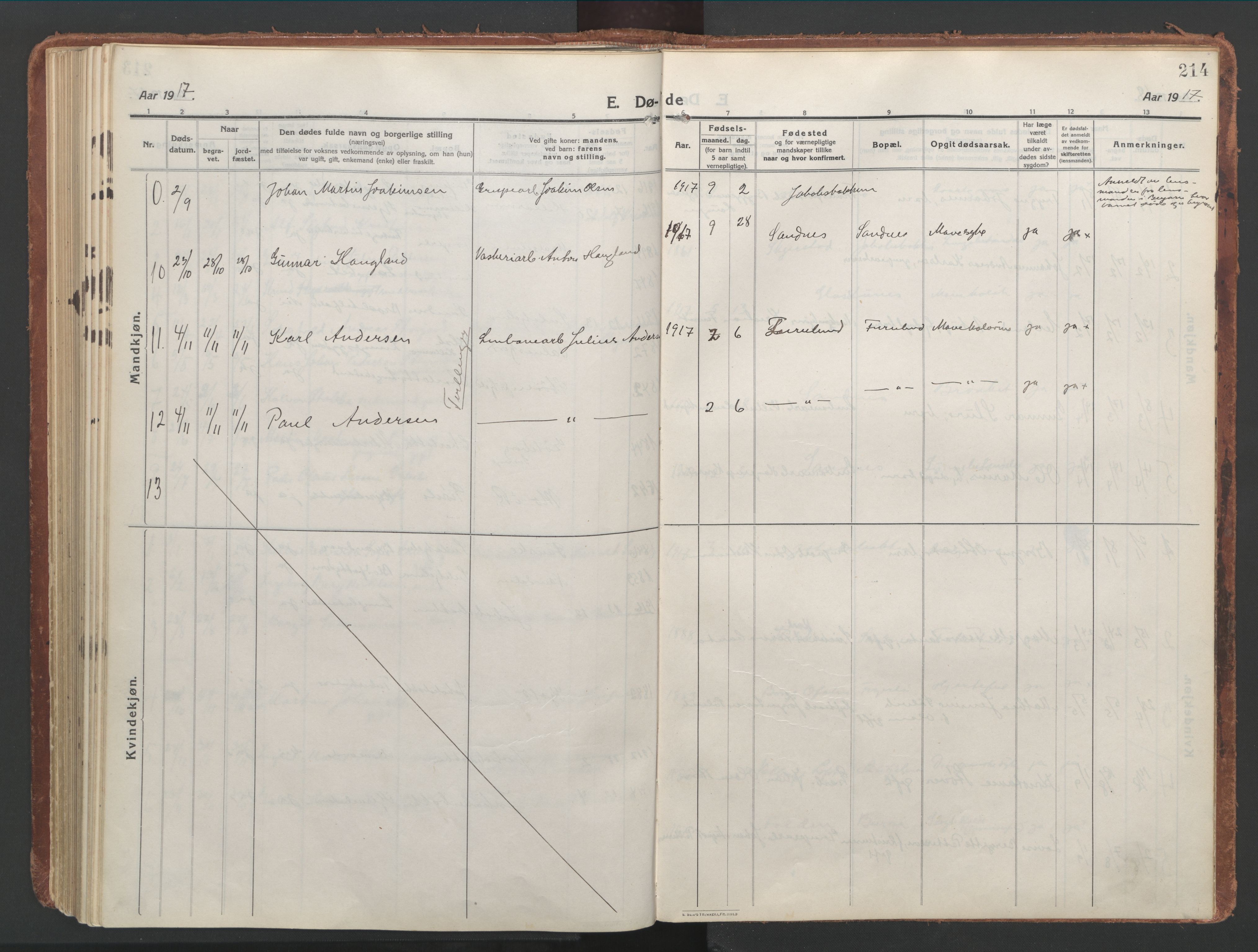 Ministerialprotokoller, klokkerbøker og fødselsregistre - Nordland, AV/SAT-A-1459/850/L0715: Curate's parish register no. 850B05, 1913-1924, p. 214