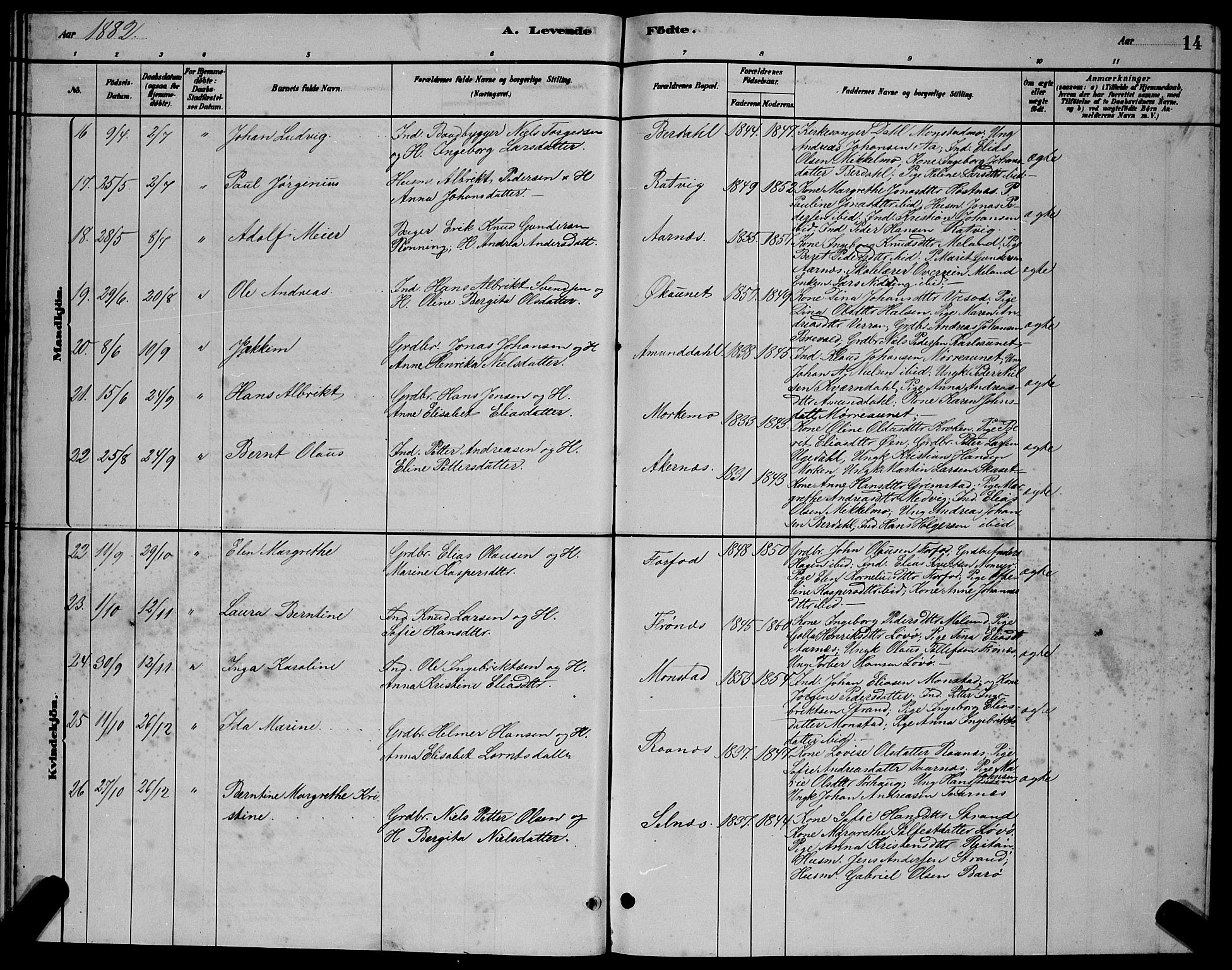 Ministerialprotokoller, klokkerbøker og fødselsregistre - Sør-Trøndelag, AV/SAT-A-1456/655/L0687: Parish register (copy) no. 655C03, 1880-1898, p. 14