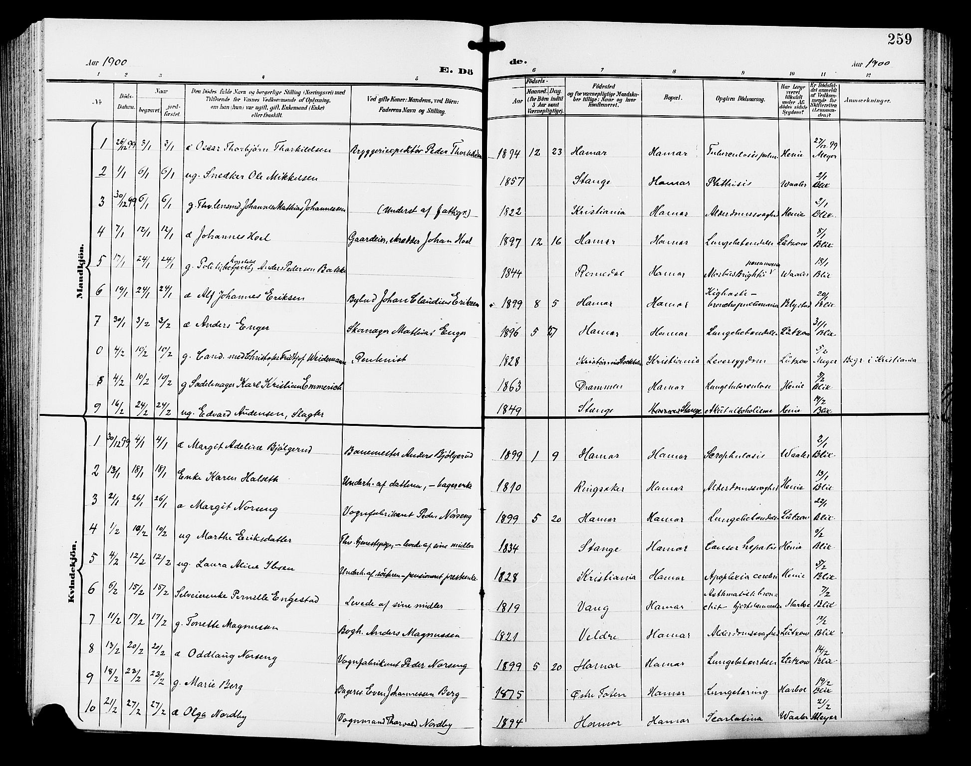 Hamar prestekontor, SAH/DOMPH-002/H/Ha/Hab/L0001: Parish register (copy) no. 1, 1899-1914, p. 259