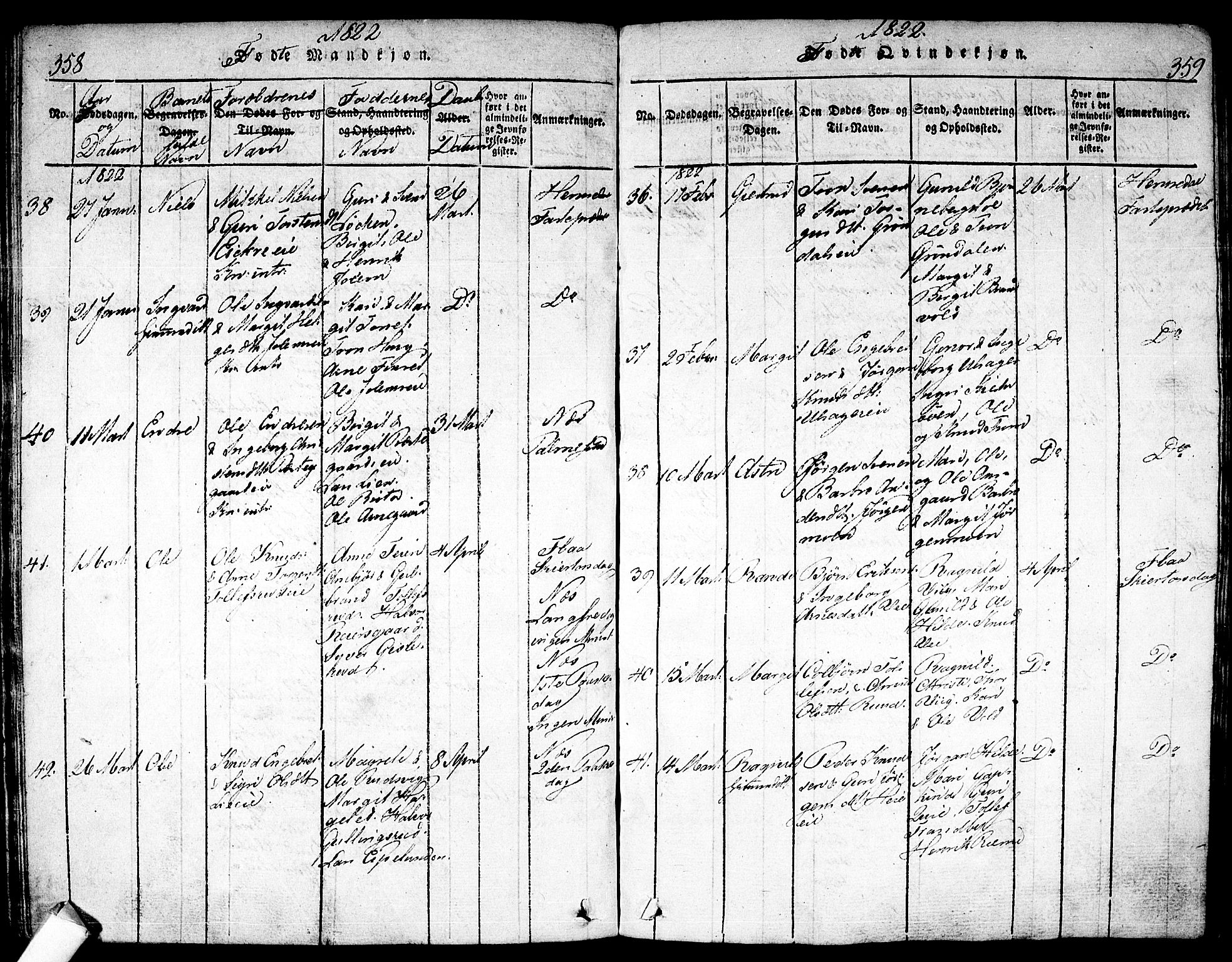 Nes kirkebøker, SAKO/A-236/F/Fa/L0007: Parish register (official) no. 7, 1815-1823, p. 358-359