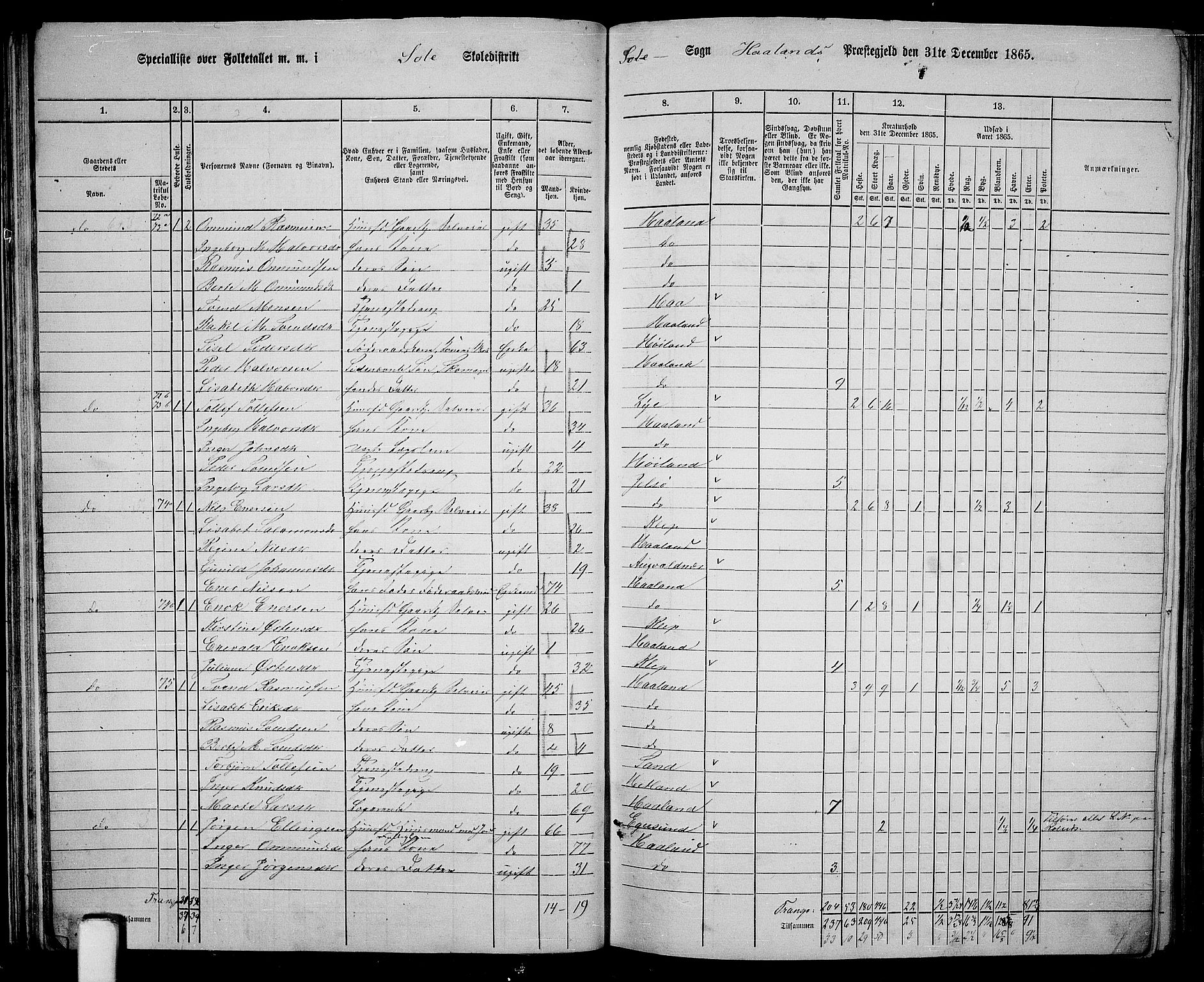 RA, 1865 census for Håland, 1865, p. 42