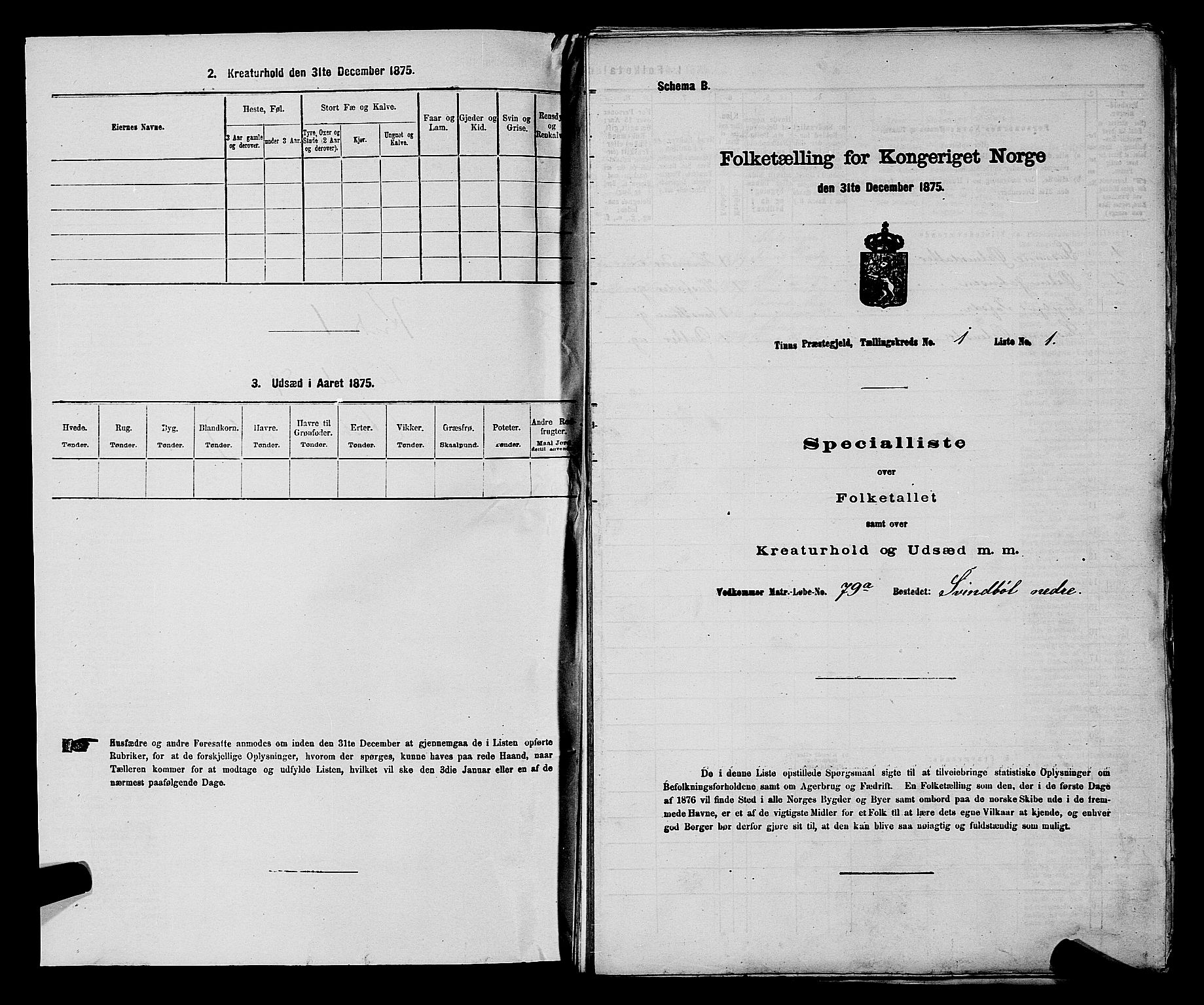 SAKO, 1875 census for 0826P Tinn, 1875, p. 40