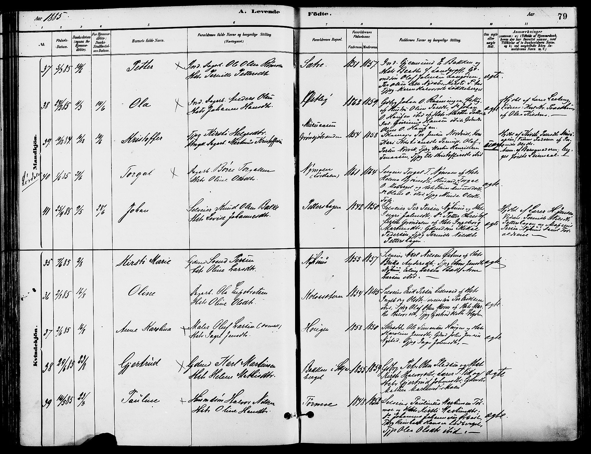 Trysil prestekontor, AV/SAH-PREST-046/H/Ha/Haa/L0008: Parish register (official) no. 8, 1881-1897, p. 79