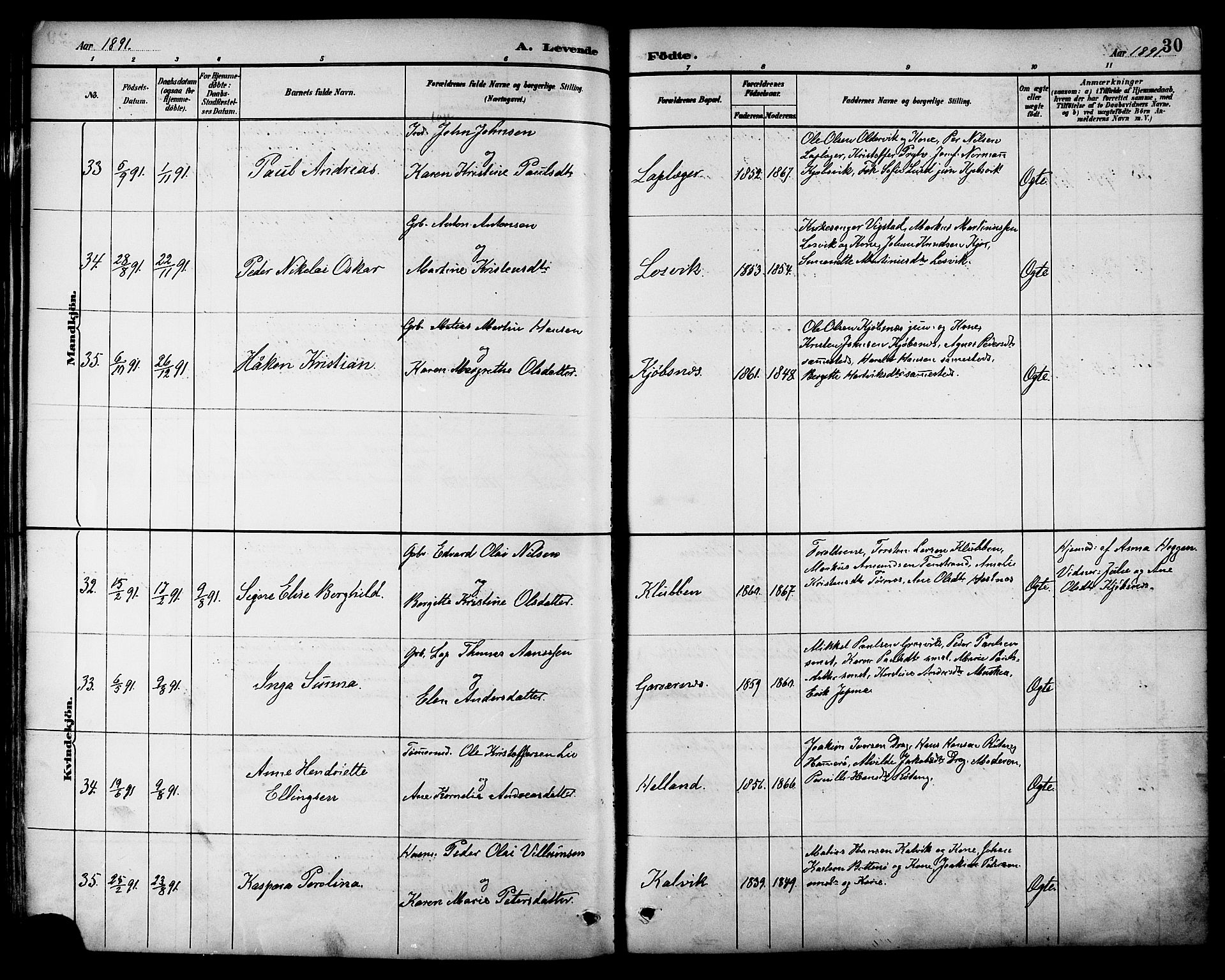 Ministerialprotokoller, klokkerbøker og fødselsregistre - Nordland, AV/SAT-A-1459/861/L0869: Parish register (official) no. 861A04, 1889-1903, p. 30