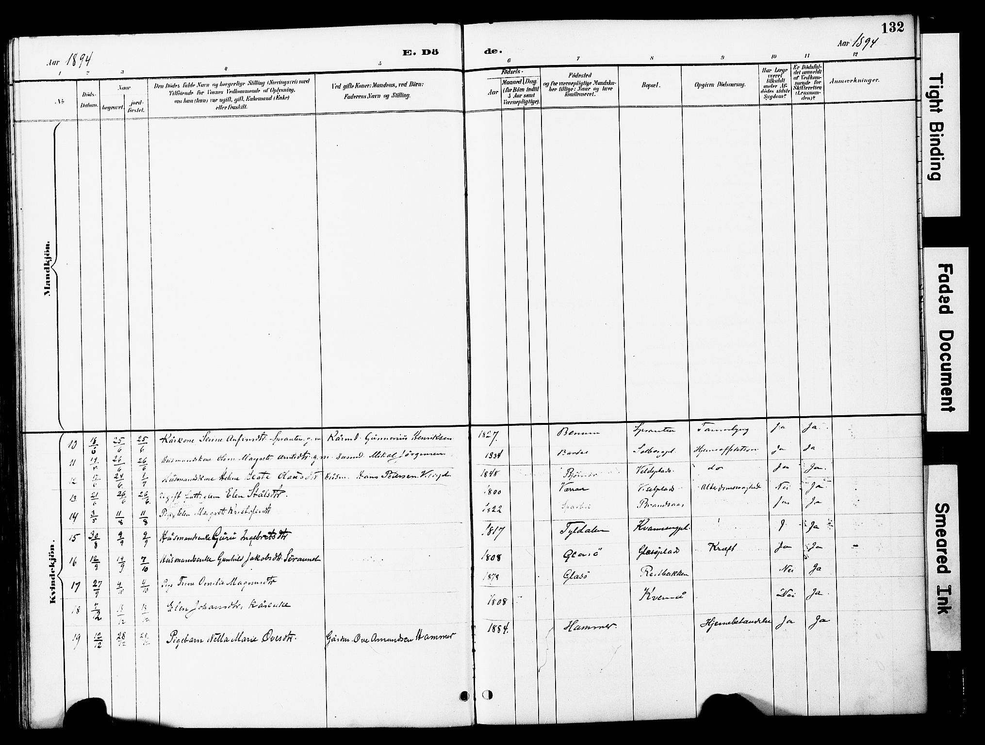 Ministerialprotokoller, klokkerbøker og fødselsregistre - Nord-Trøndelag, AV/SAT-A-1458/741/L0396: Parish register (official) no. 741A10, 1889-1901, p. 132