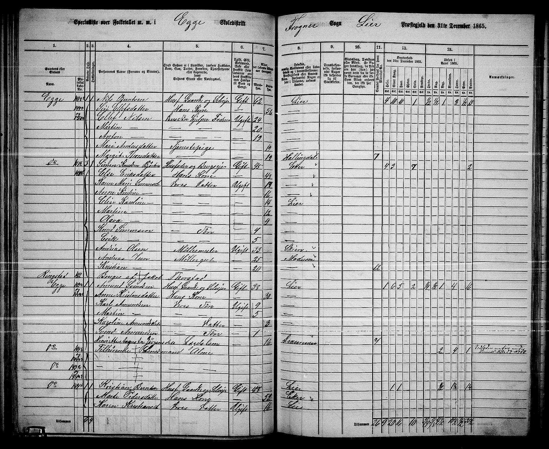 RA, 1865 census for Lier, 1865, p. 85