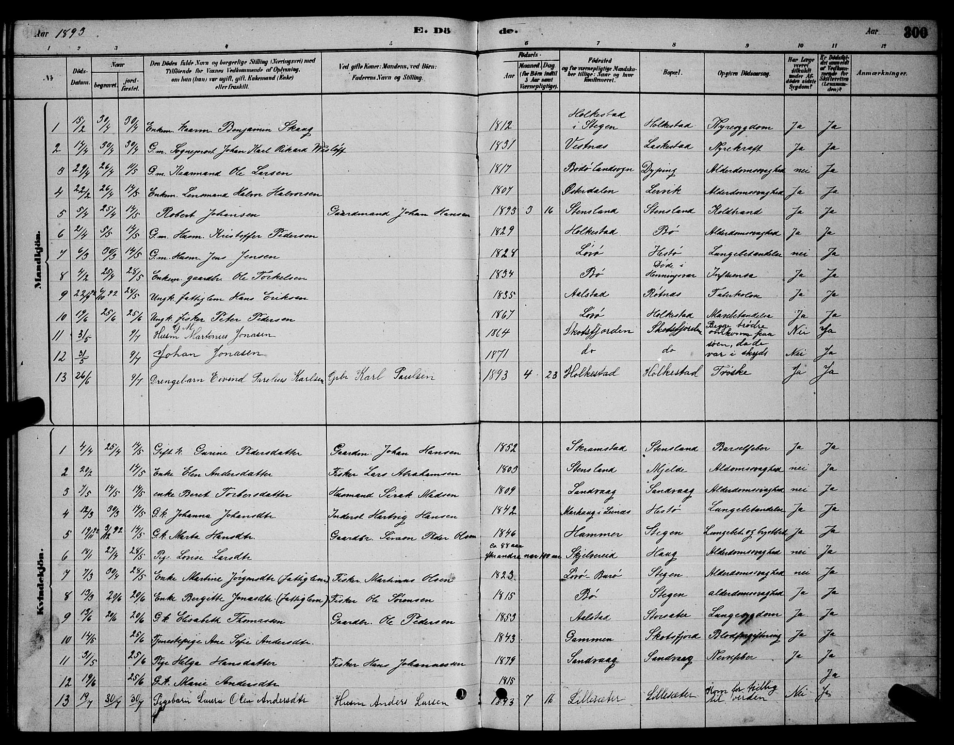 Ministerialprotokoller, klokkerbøker og fødselsregistre - Nordland, AV/SAT-A-1459/855/L0816: Parish register (copy) no. 855C05, 1879-1894, p. 300