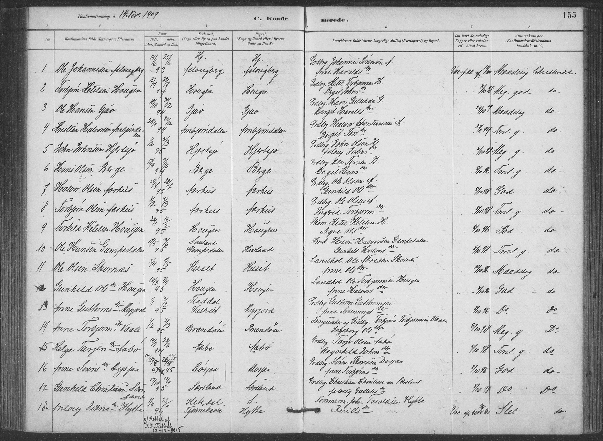 Hjartdal kirkebøker, SAKO/A-270/F/Fa/L0010: Parish register (official) no. I 10, 1880-1929, p. 155