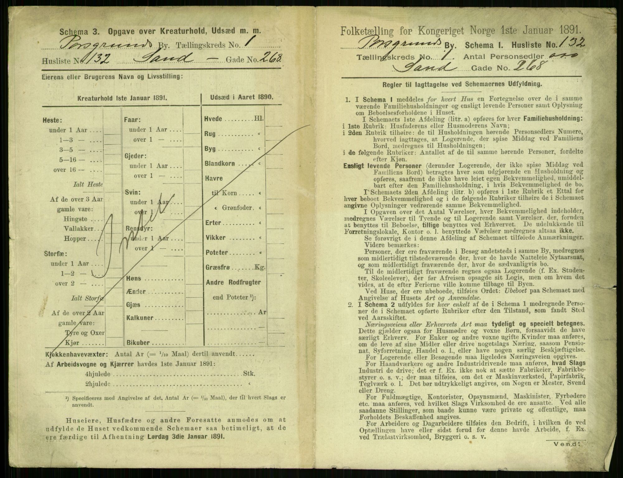 RA, 1891 census for 0805 Porsgrunn, 1891, p. 293