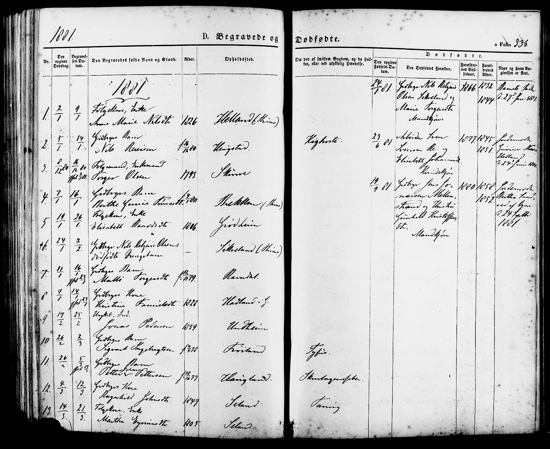 Lye sokneprestkontor, SAST/A-101794/001/30BA/L0008: Parish register (official) no. A 7, 1872-1881, p. 338