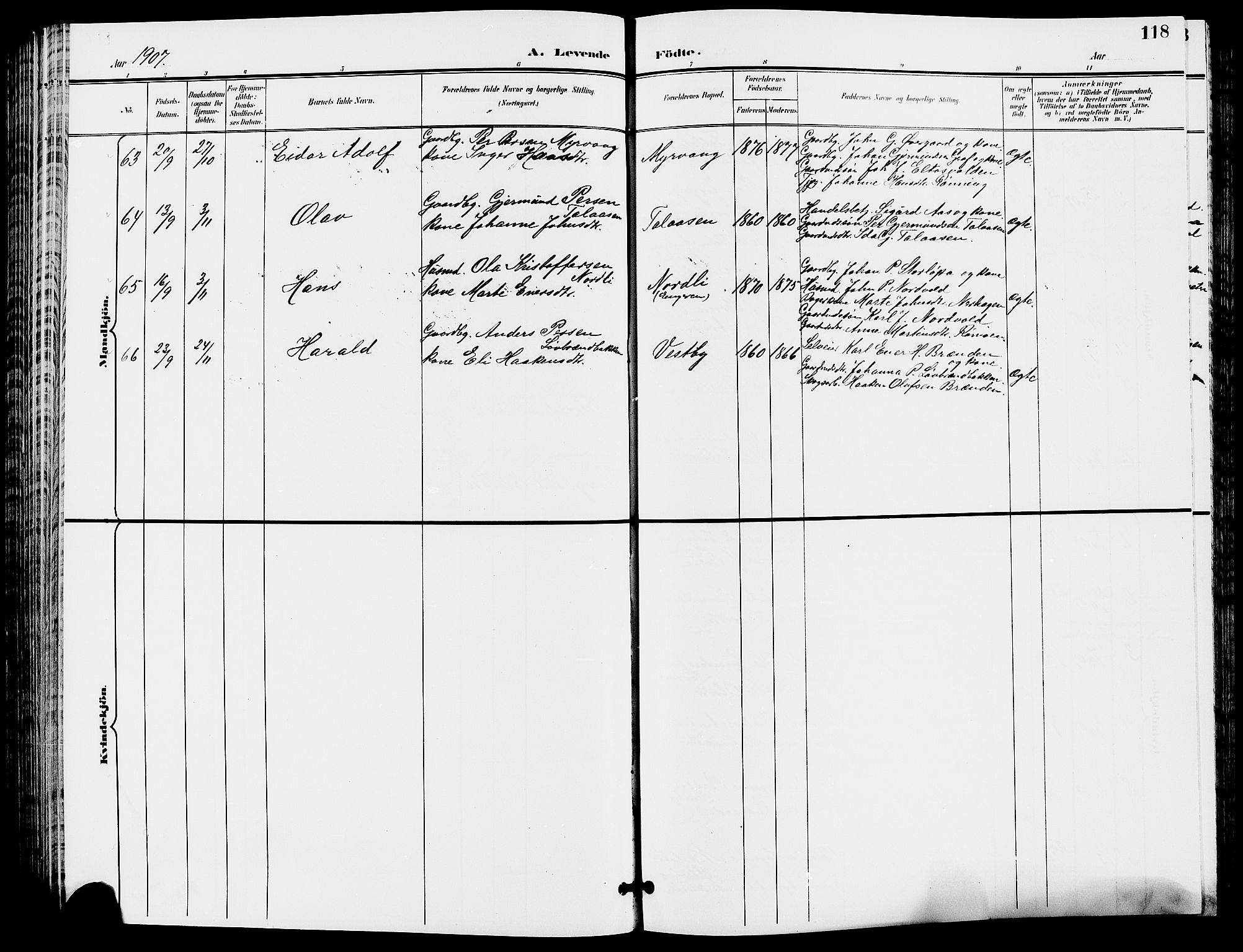 Trysil prestekontor, SAH/PREST-046/H/Ha/Hab/L0006: Parish register (copy) no. 6, 1896-1912, p. 118