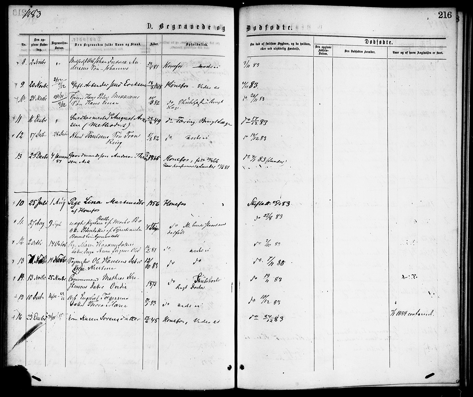 Hønefoss kirkebøker, AV/SAKO-A-609/F/Fa/L0001: Parish register (official) no. 1, 1875-1887, p. 216