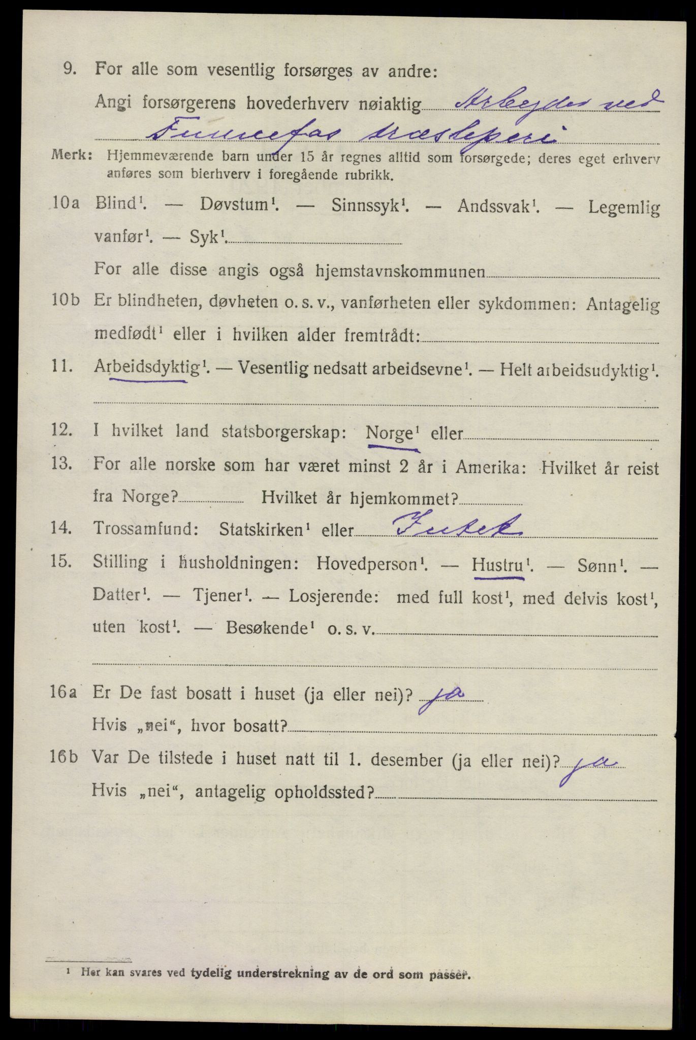 SAO, 1920 census for Nes, 1920, p. 7113
