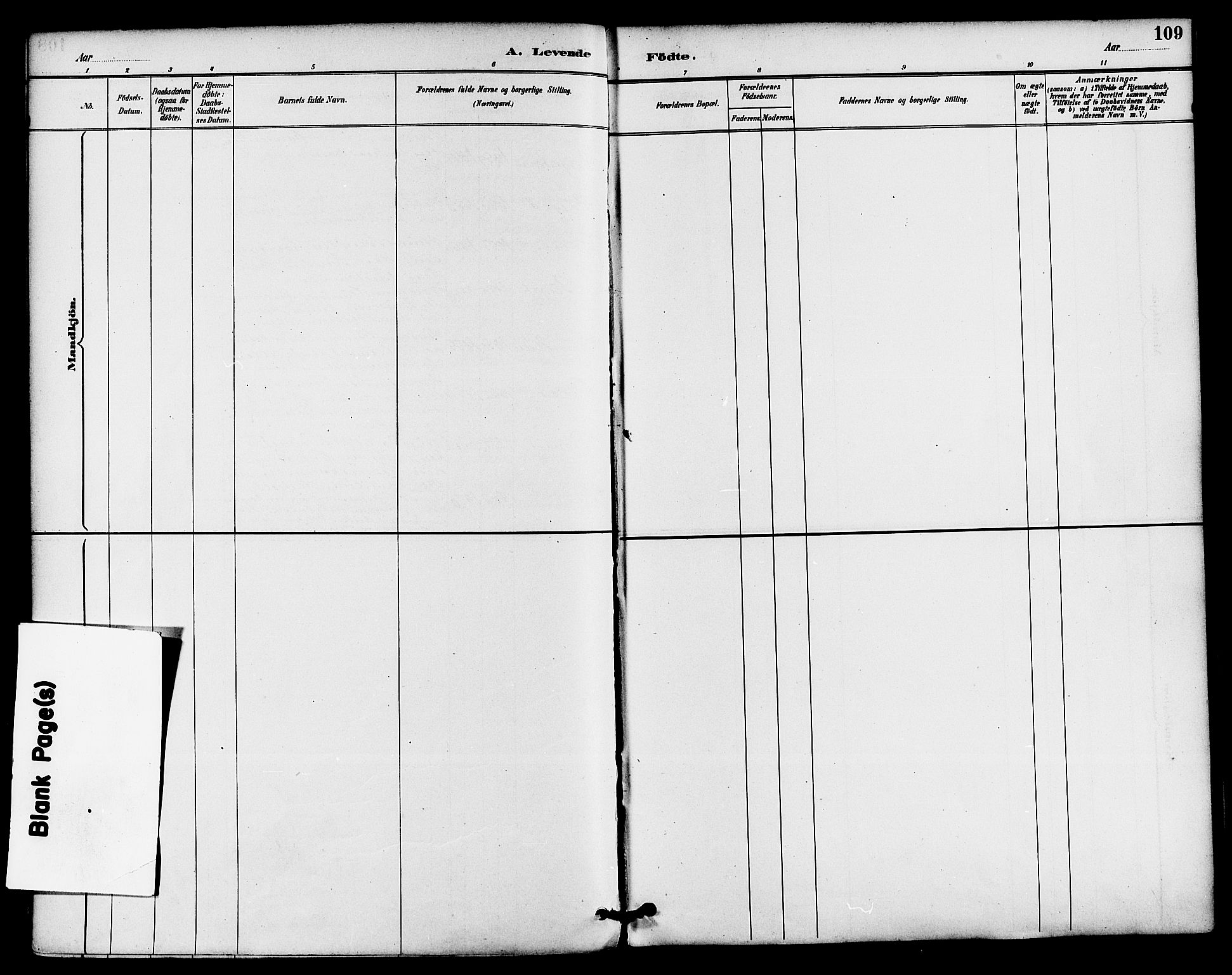 Gjerpen kirkebøker, SAKO/A-265/F/Fa/L0010: Parish register (official) no. I 10, 1886-1895, p. 109