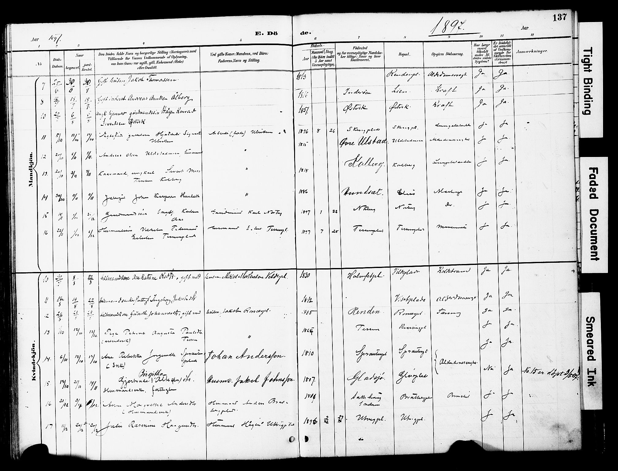 Ministerialprotokoller, klokkerbøker og fødselsregistre - Nord-Trøndelag, AV/SAT-A-1458/741/L0396: Parish register (official) no. 741A10, 1889-1901, p. 137