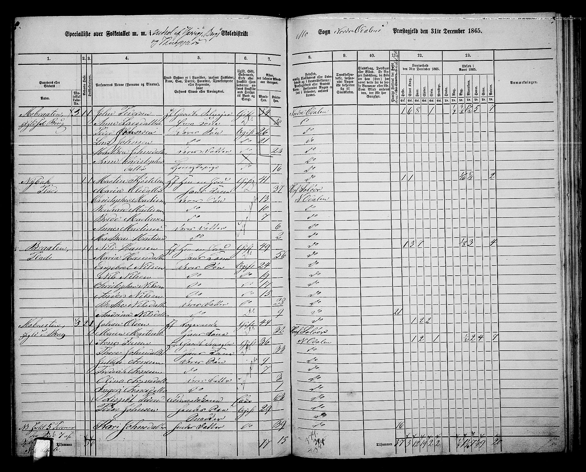 RA, 1865 census for Nord-Odal, 1865, p. 119