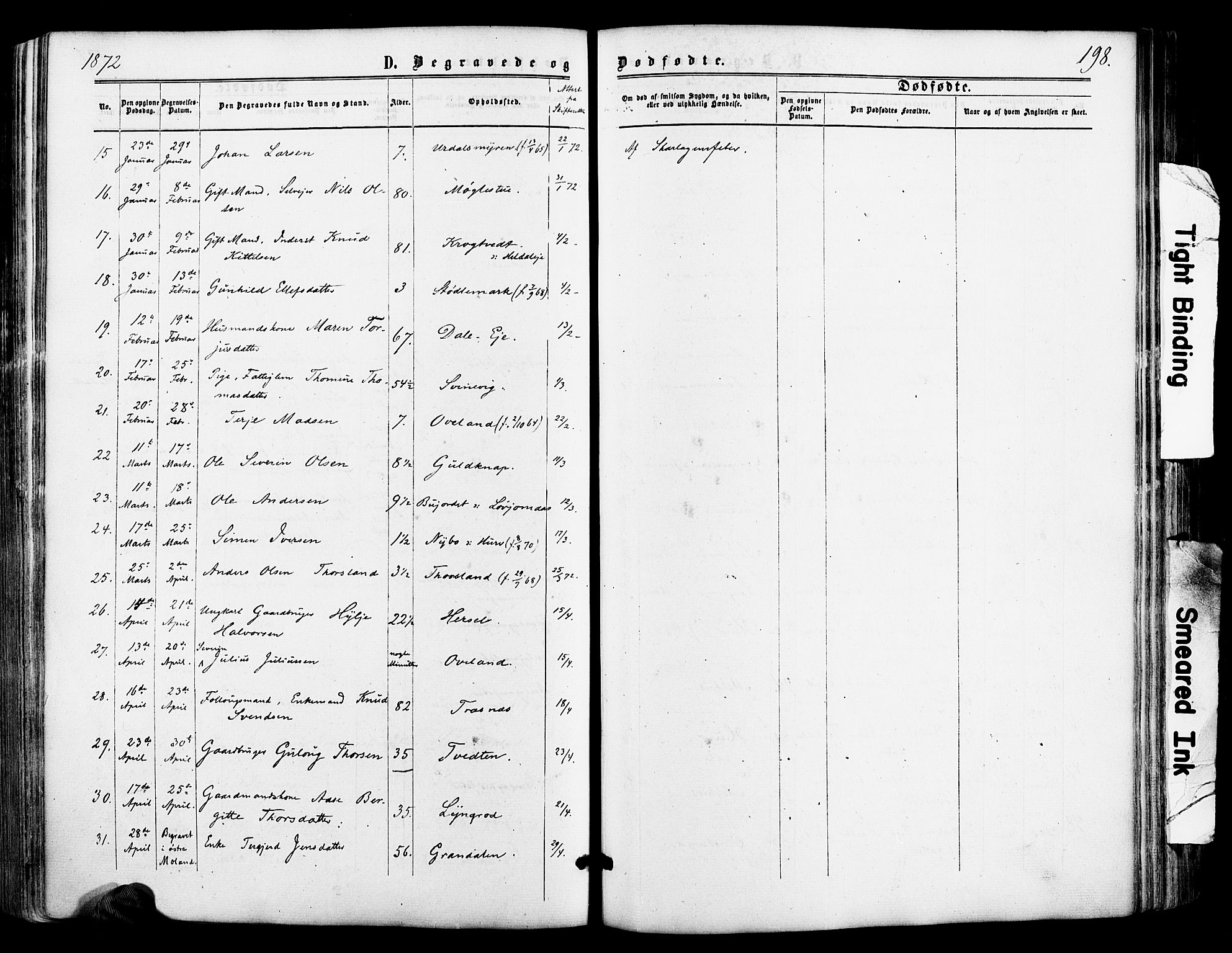 Froland sokneprestkontor, SAK/1111-0013/F/Fa/L0003: Parish register (official) no. A 3, 1864-1881, p. 198