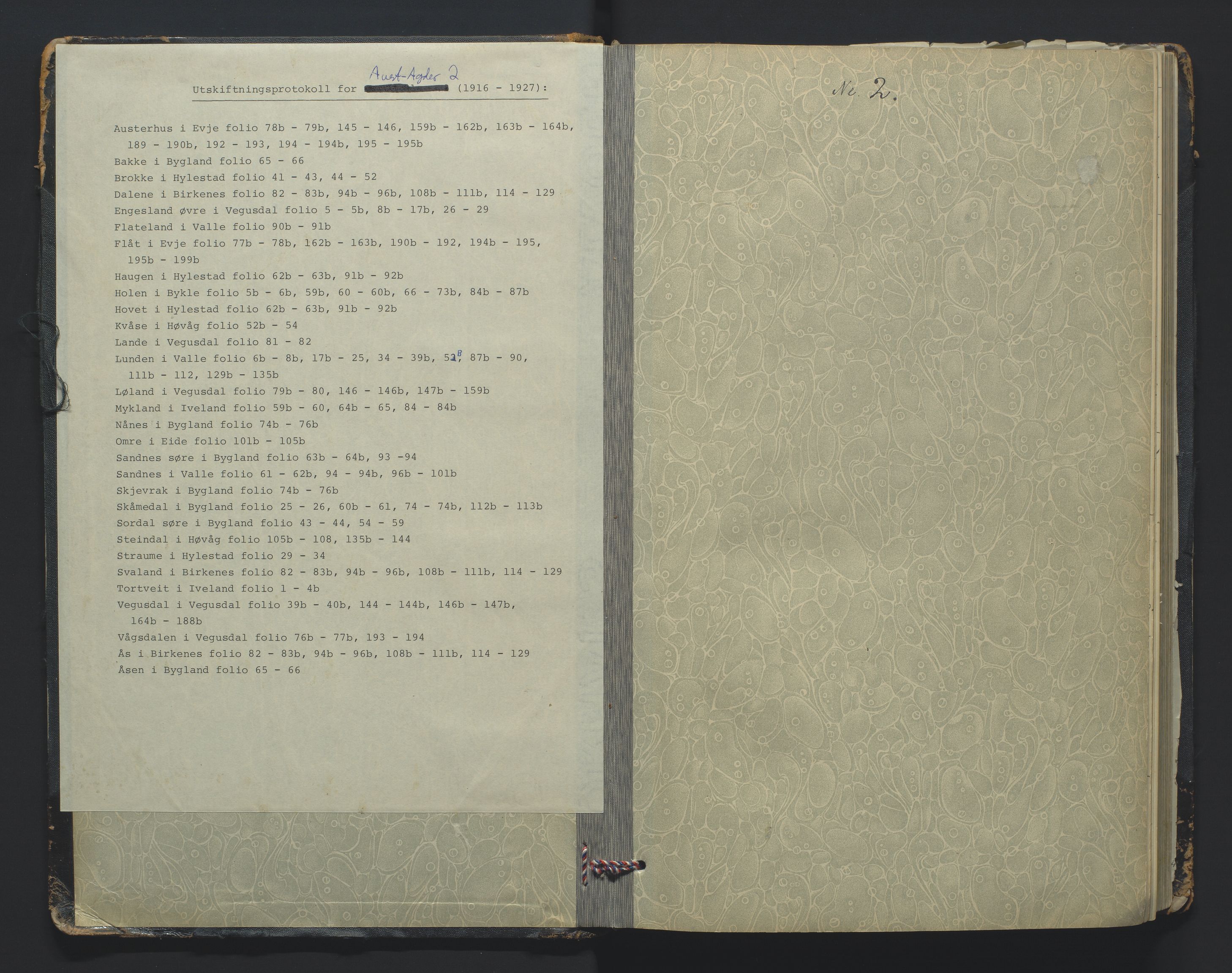 Utskiftningsformannen i Nedenes amt, SAK/1541-0002/F/Fa/Fac/L0002: Jordskifteprotokoll med register, Aust-Agder fylke nr 2, 1916-1927