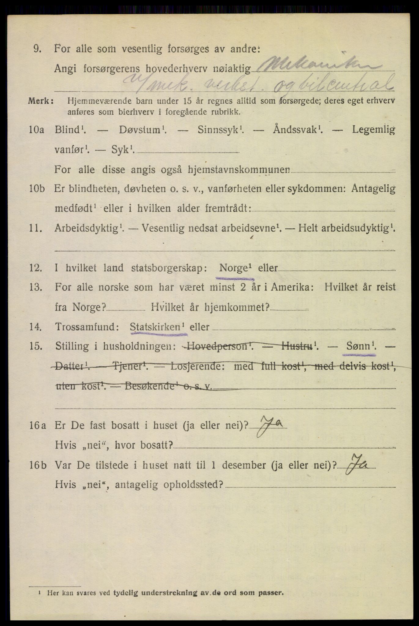 SAH, 1920 census for Lillehammer, 1920, p. 12525