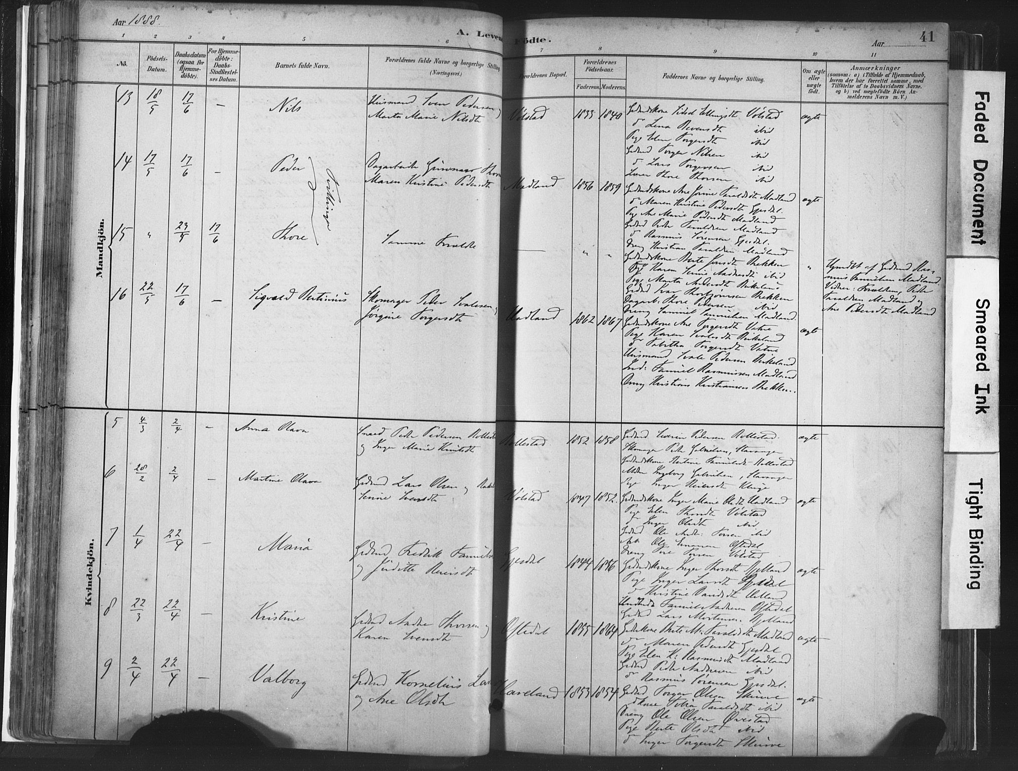 Lye sokneprestkontor, SAST/A-101794/001/30BA/L0010: Parish register (official) no. A 10, 1881-1896, p. 41