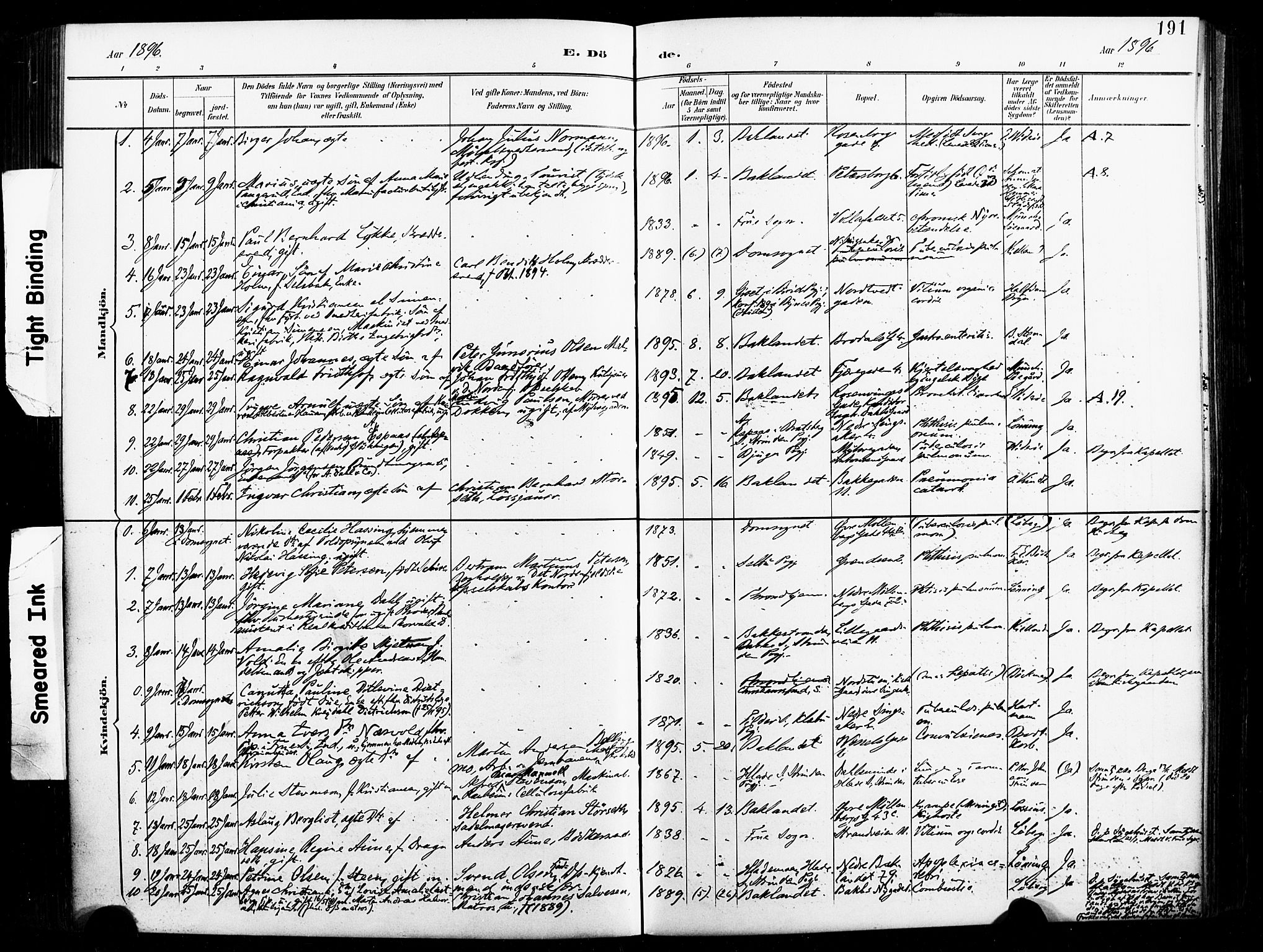 Ministerialprotokoller, klokkerbøker og fødselsregistre - Sør-Trøndelag, SAT/A-1456/604/L0198: Parish register (official) no. 604A19, 1893-1900, p. 191