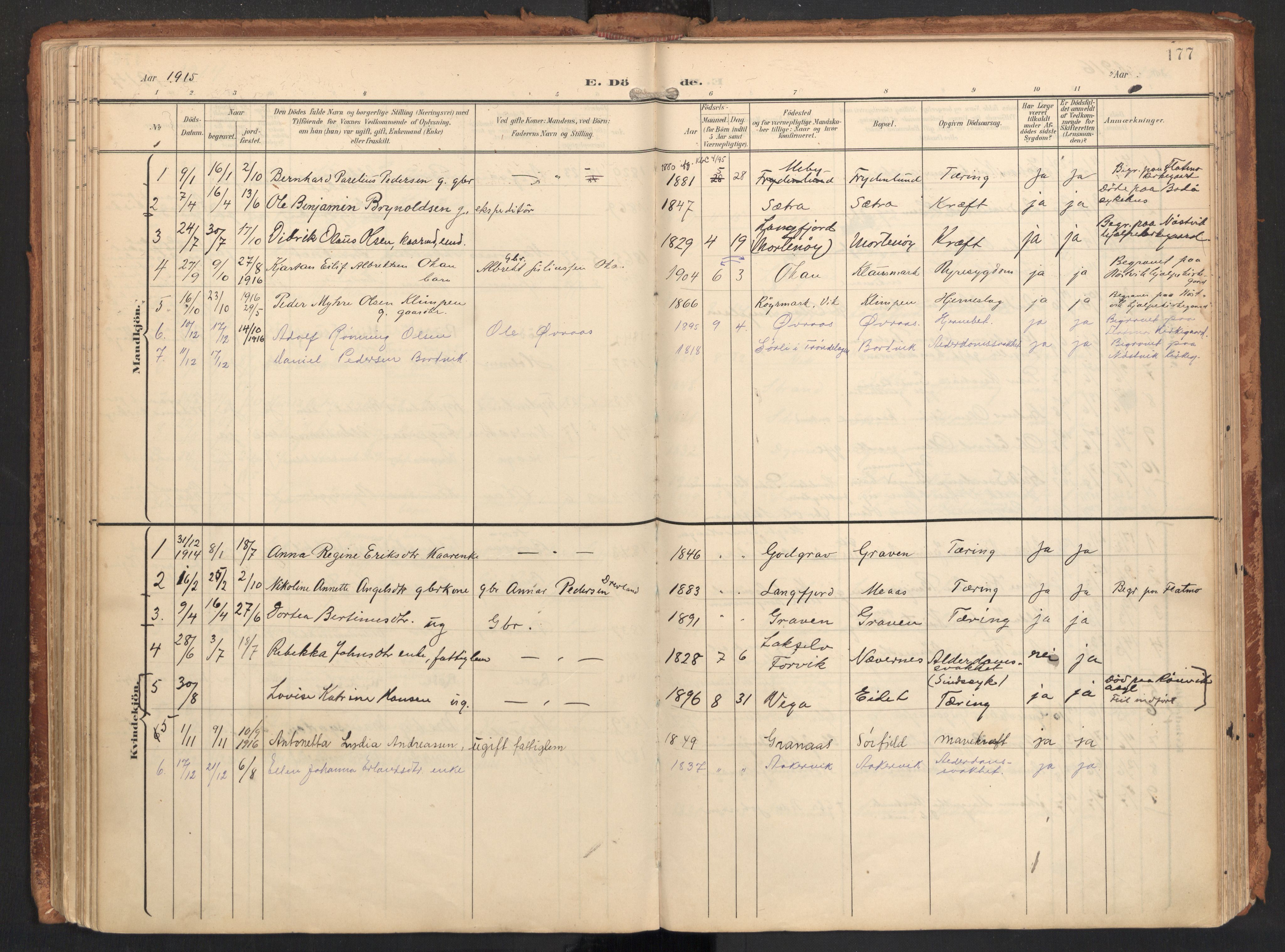 Ministerialprotokoller, klokkerbøker og fødselsregistre - Nordland, SAT/A-1459/814/L0227: Parish register (official) no. 814A08, 1899-1920, p. 177