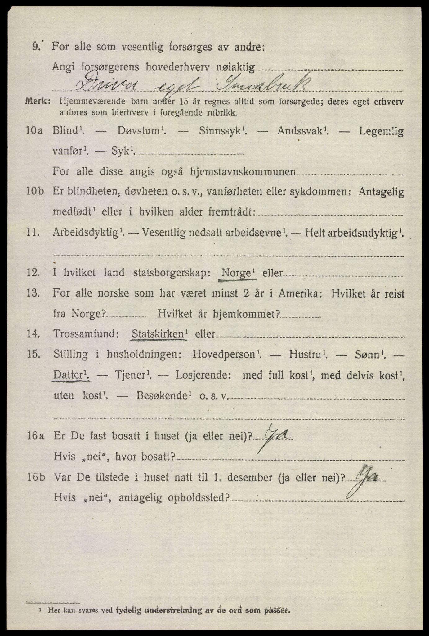 SAKO, 1920 census for Hemsedal, 1920, p. 1735