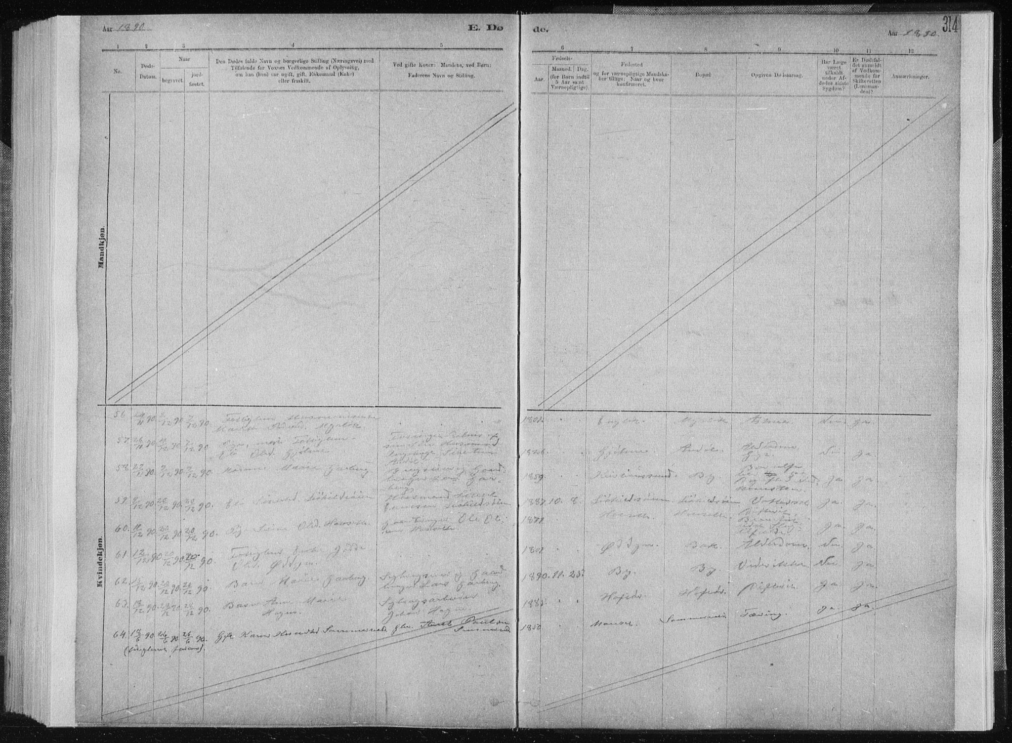 Ministerialprotokoller, klokkerbøker og fødselsregistre - Sør-Trøndelag, SAT/A-1456/668/L0818: Parish register (copy) no. 668C07, 1885-1898, p. 314