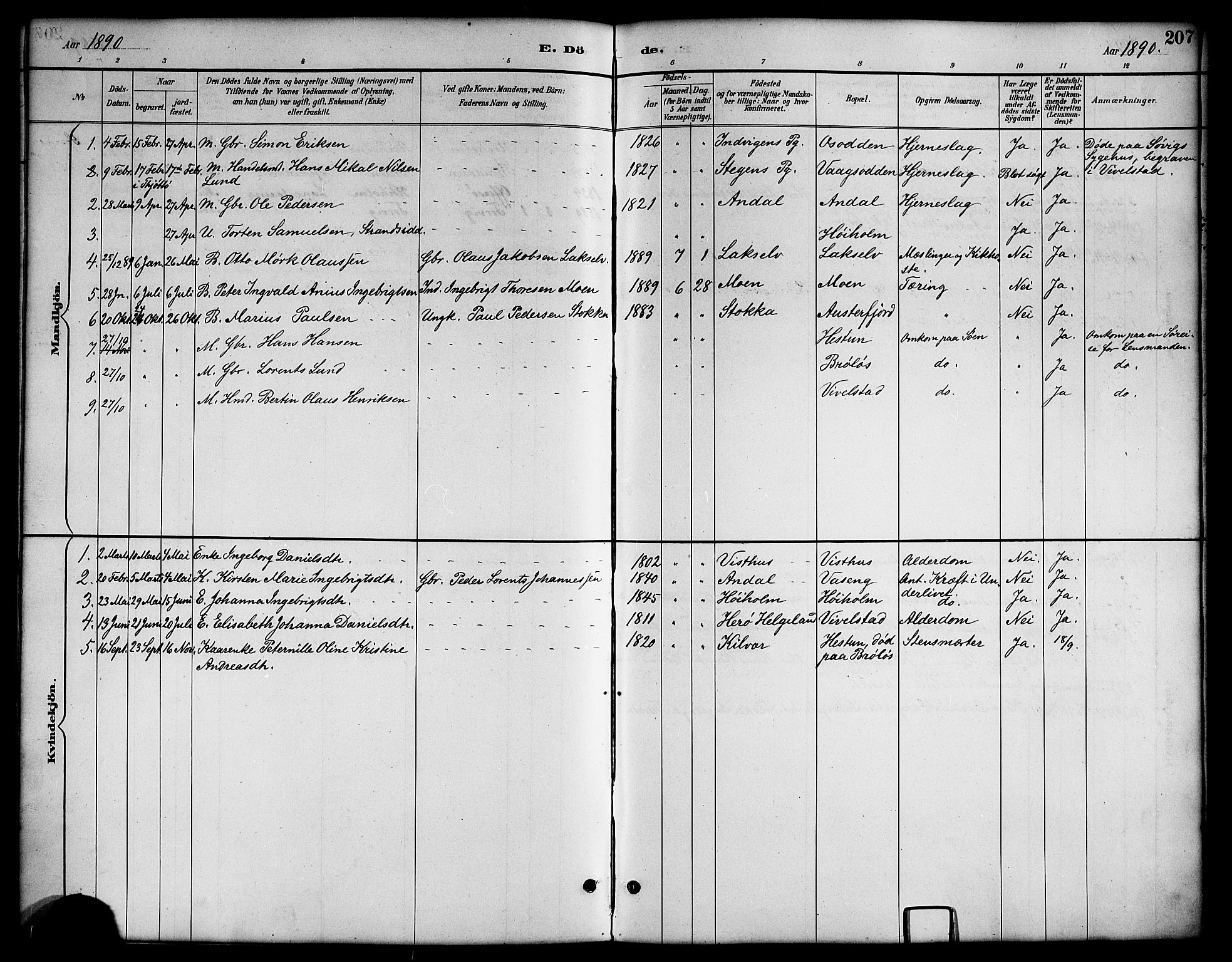 Ministerialprotokoller, klokkerbøker og fødselsregistre - Nordland, SAT/A-1459/819/L0277: Parish register (copy) no. 819C03, 1888-1917, p. 207