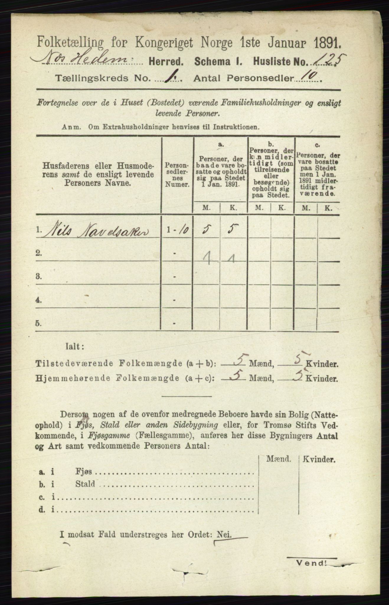 RA, 1891 census for 0411 Nes, 1891, p. 154