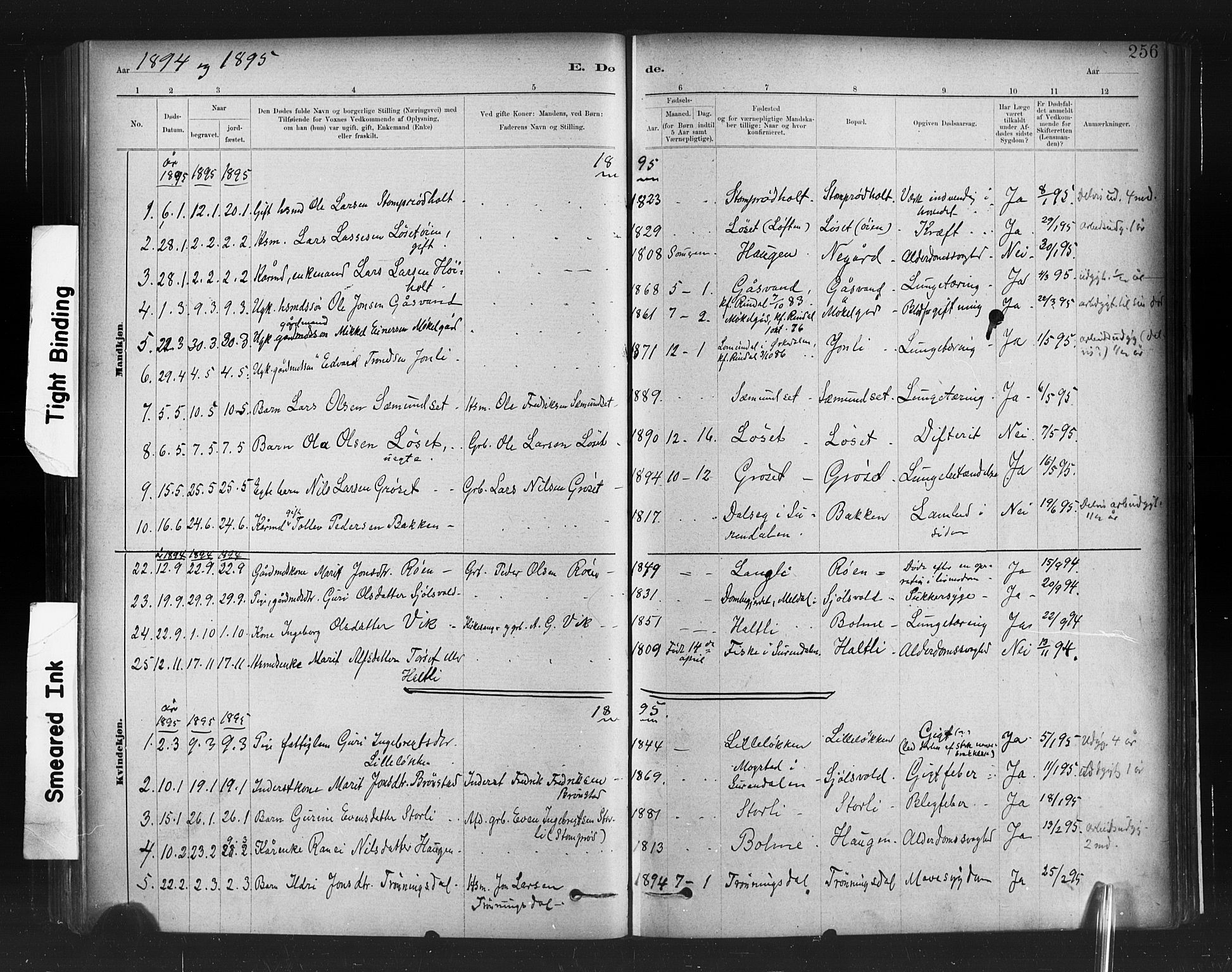 Ministerialprotokoller, klokkerbøker og fødselsregistre - Møre og Romsdal, AV/SAT-A-1454/598/L1069: Parish register (official) no. 598A03, 1882-1895, p. 256