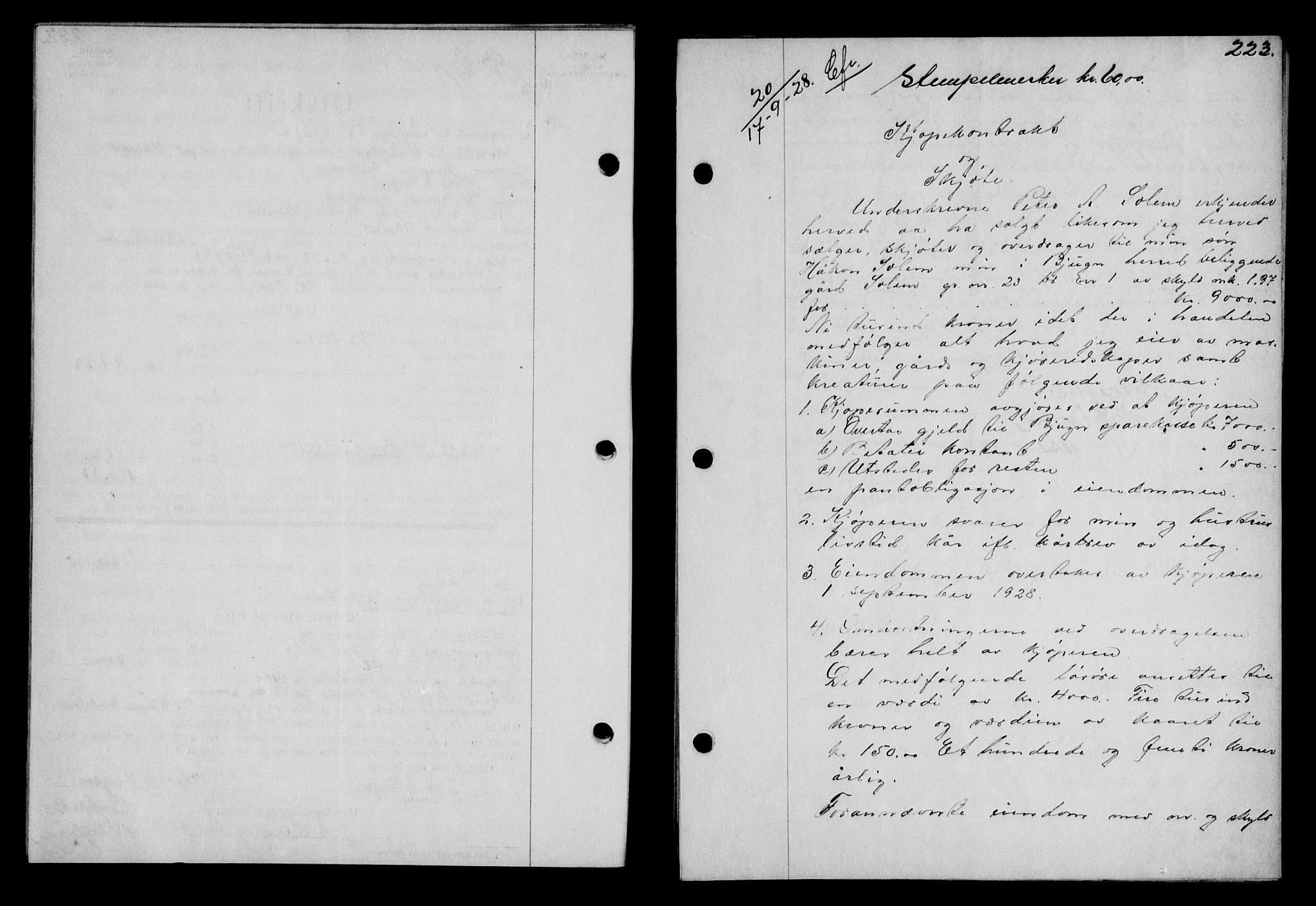 Fosen sorenskriveri, AV/SAT-A-1107/1/2/2C/L0067: Mortgage book no. 58, 1928-1929, p. 223, Deed date: 17.09.1928