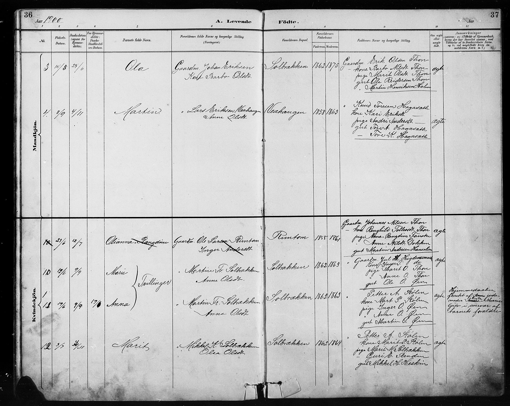 Etnedal prestekontor, SAH/PREST-130/H/Ha/Hab/Habb/L0001: Parish register (copy) no. II 1, 1894-1911, p. 36-37