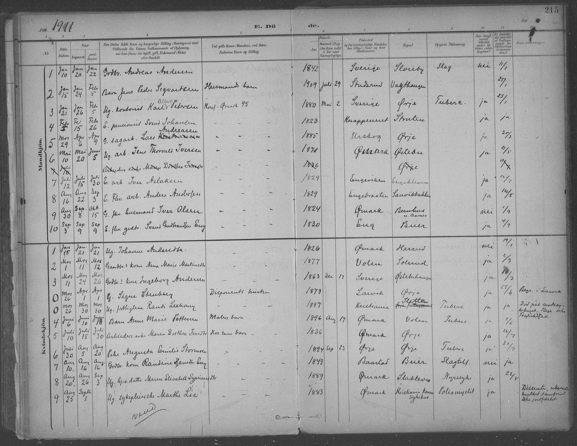 Aremark prestekontor Kirkebøker, SAO/A-10899/F/Fb/L0005: Parish register (official) no. II 5, 1895-1919, p. 215