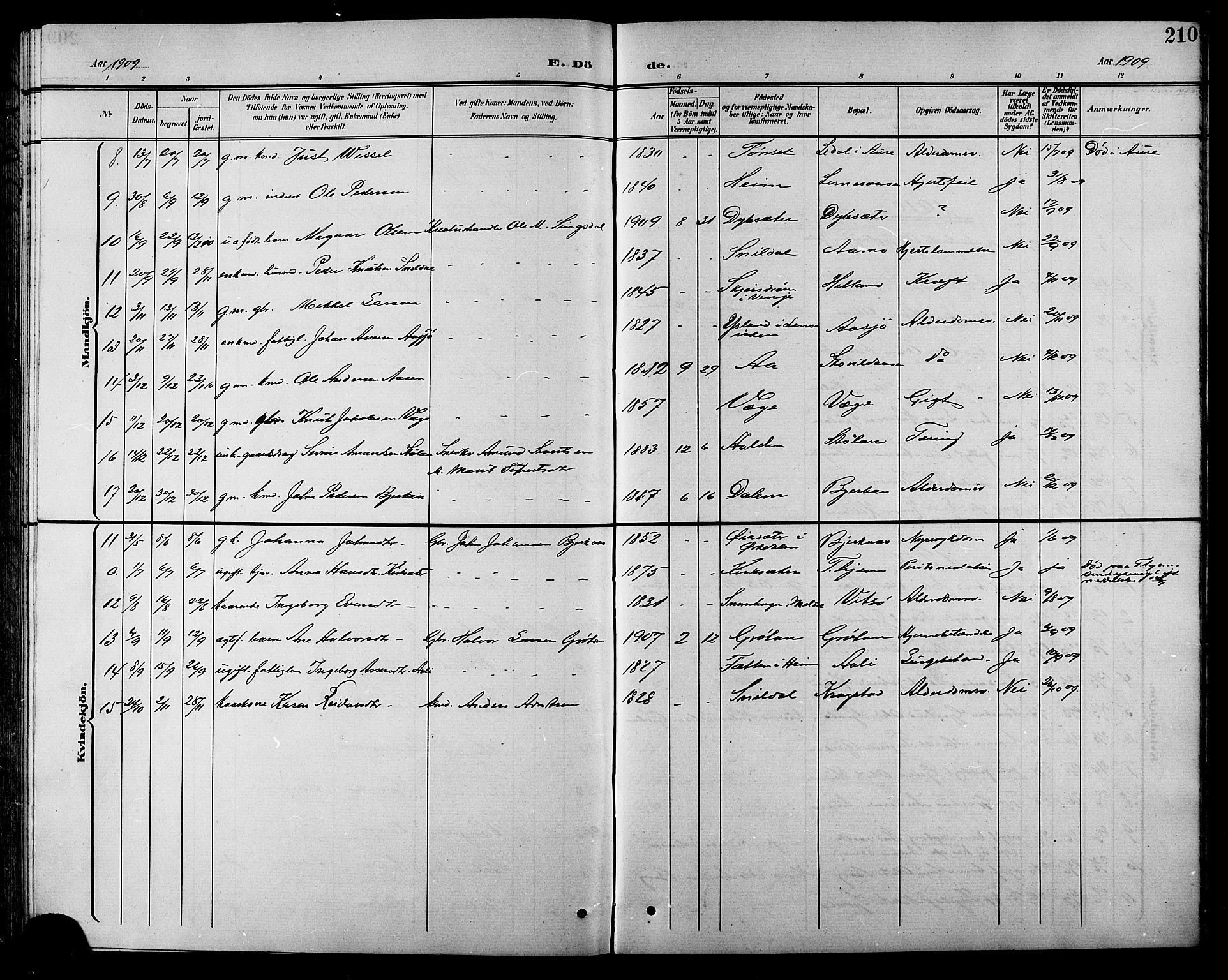 Ministerialprotokoller, klokkerbøker og fødselsregistre - Sør-Trøndelag, SAT/A-1456/630/L0505: Parish register (copy) no. 630C03, 1899-1914, p. 210