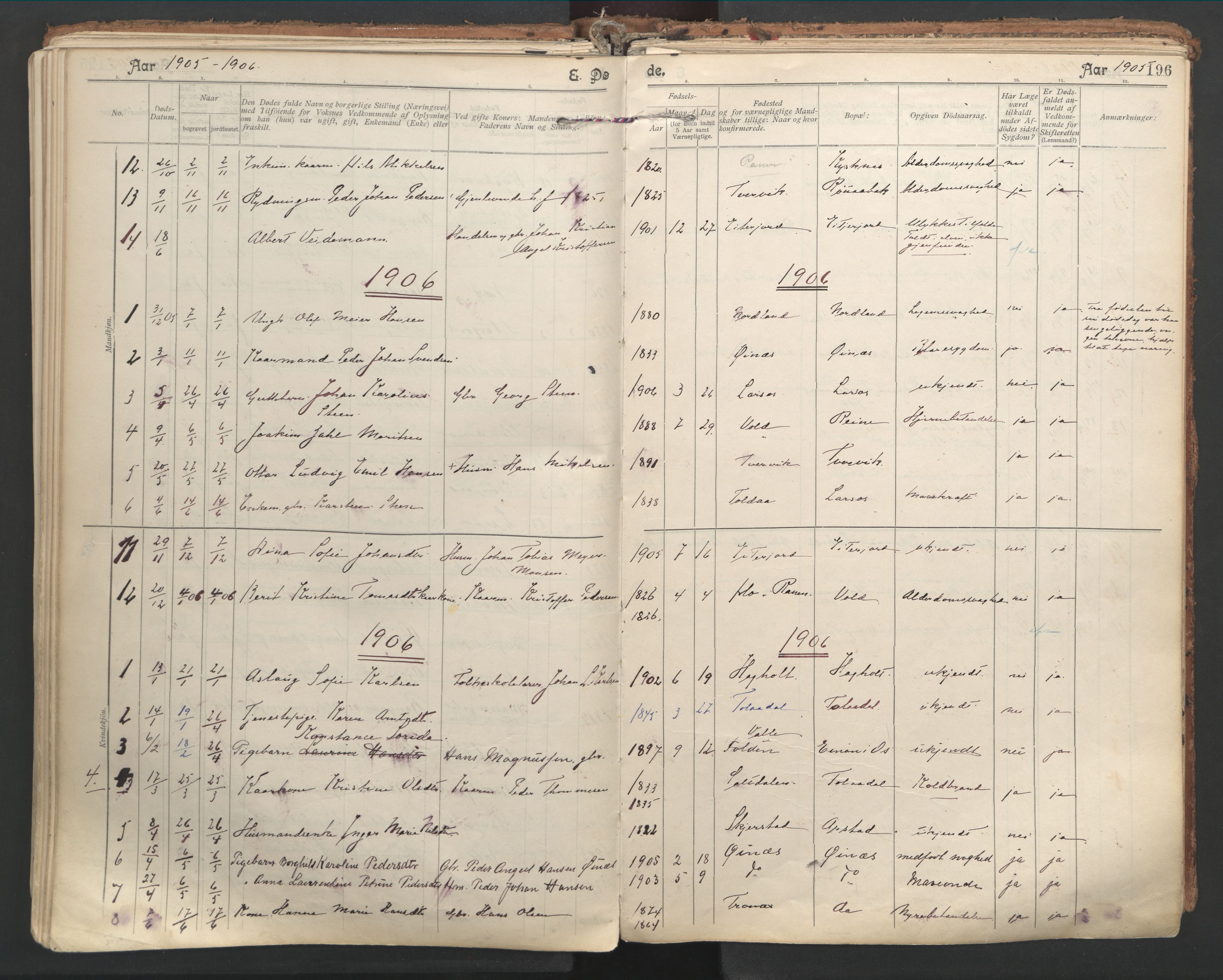 Ministerialprotokoller, klokkerbøker og fødselsregistre - Nordland, SAT/A-1459/846/L0647: Parish register (official) no. 846A05, 1902-1915, p. 196