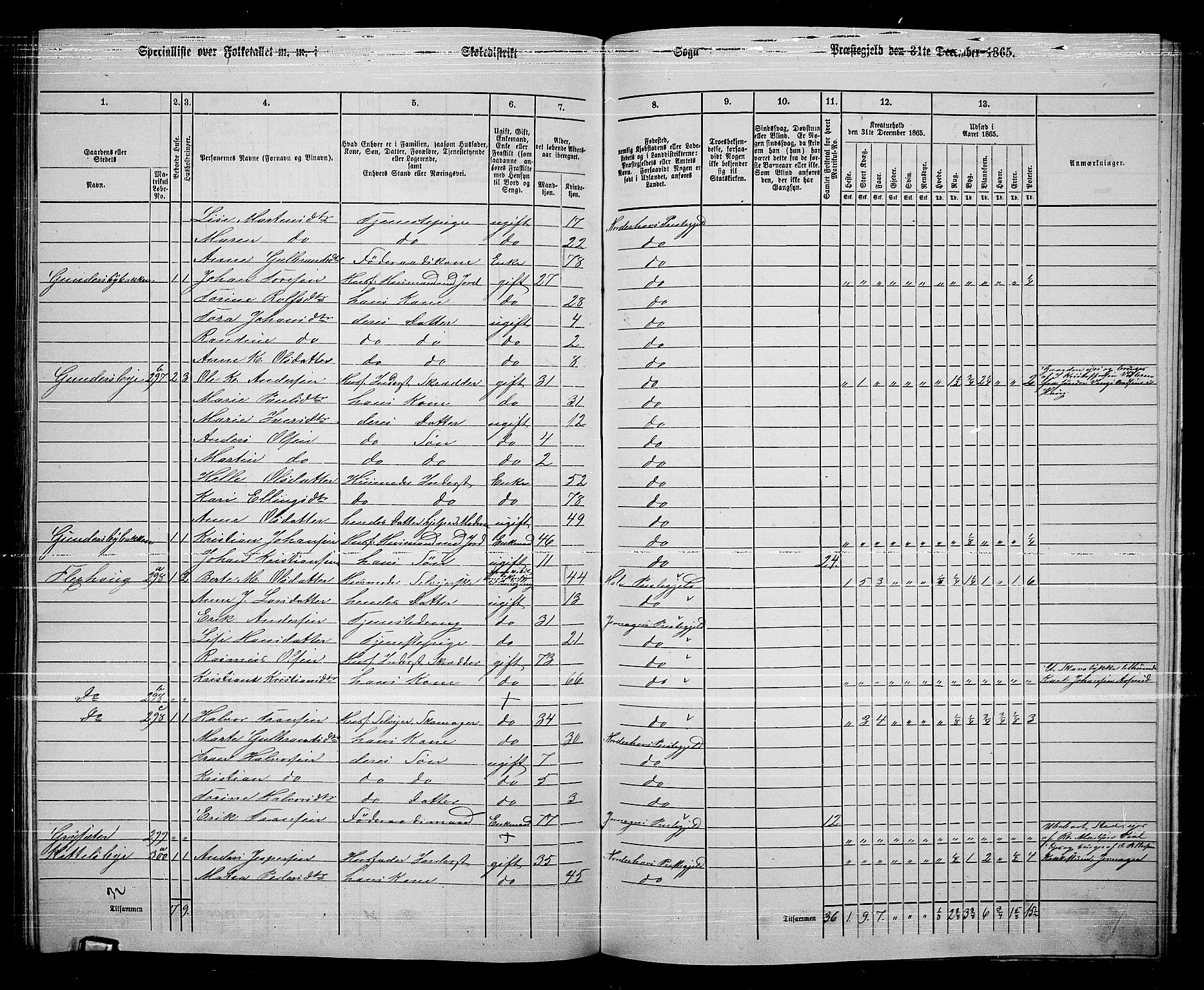 RA, 1865 census for Norderhov/Norderhov, Haug og Lunder, 1865, p. 253