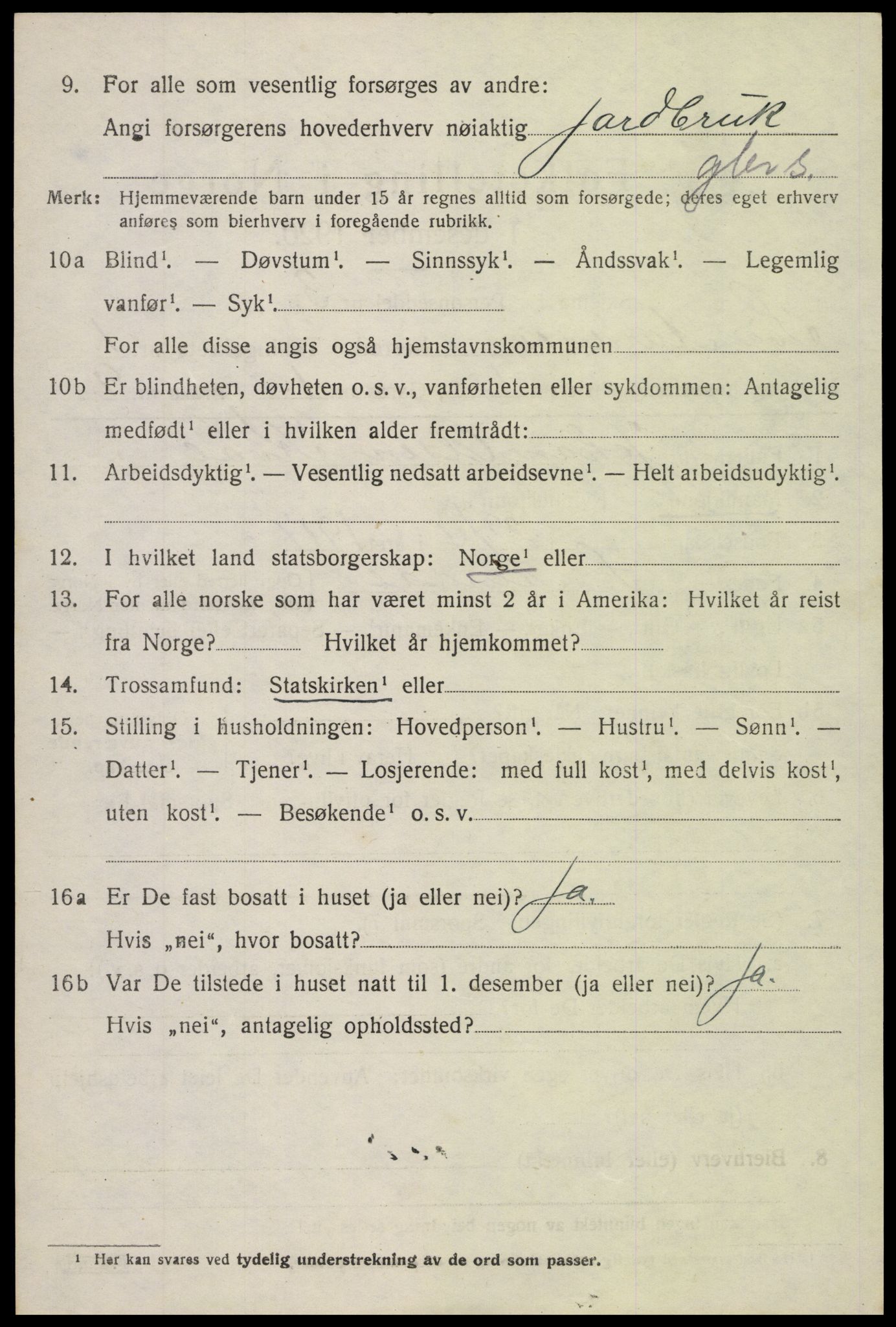 SAH, 1920 census for Sør-Aurdal, 1920, p. 1526