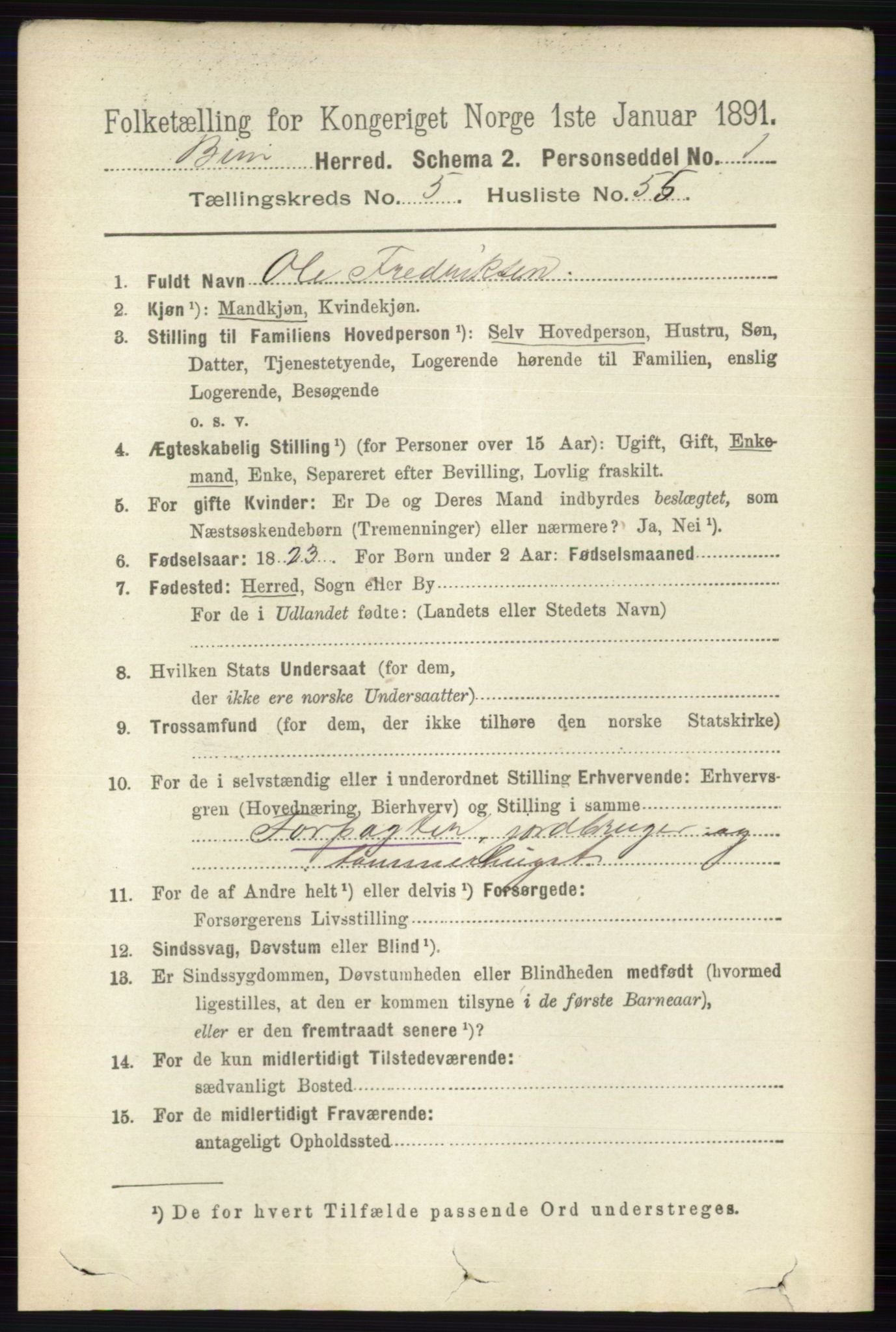 RA, 1891 census for 0525 Biri, 1891, p. 2077