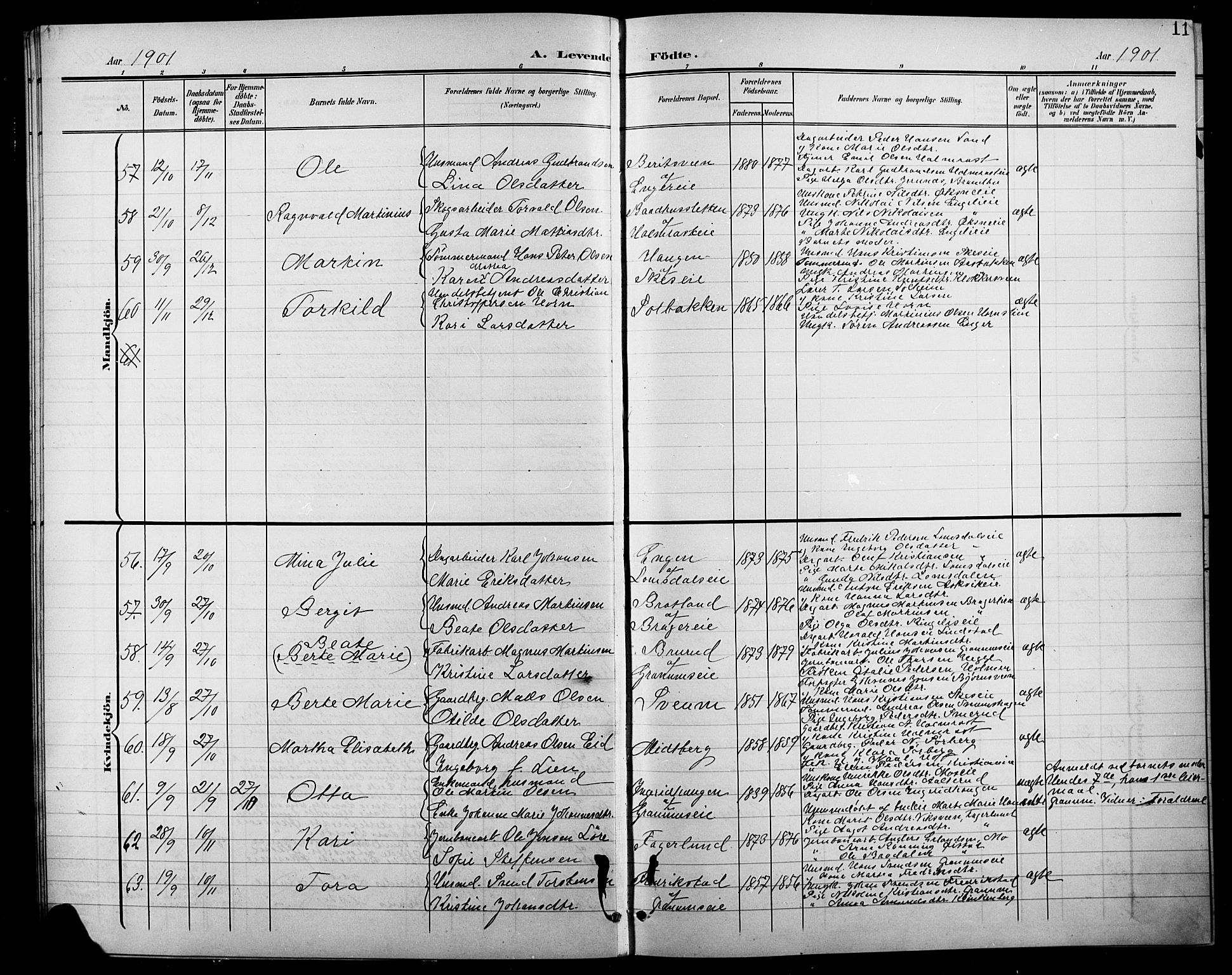 Søndre Land prestekontor, AV/SAH-PREST-122/L/L0004: Parish register (copy) no. 4, 1901-1915, p. 11