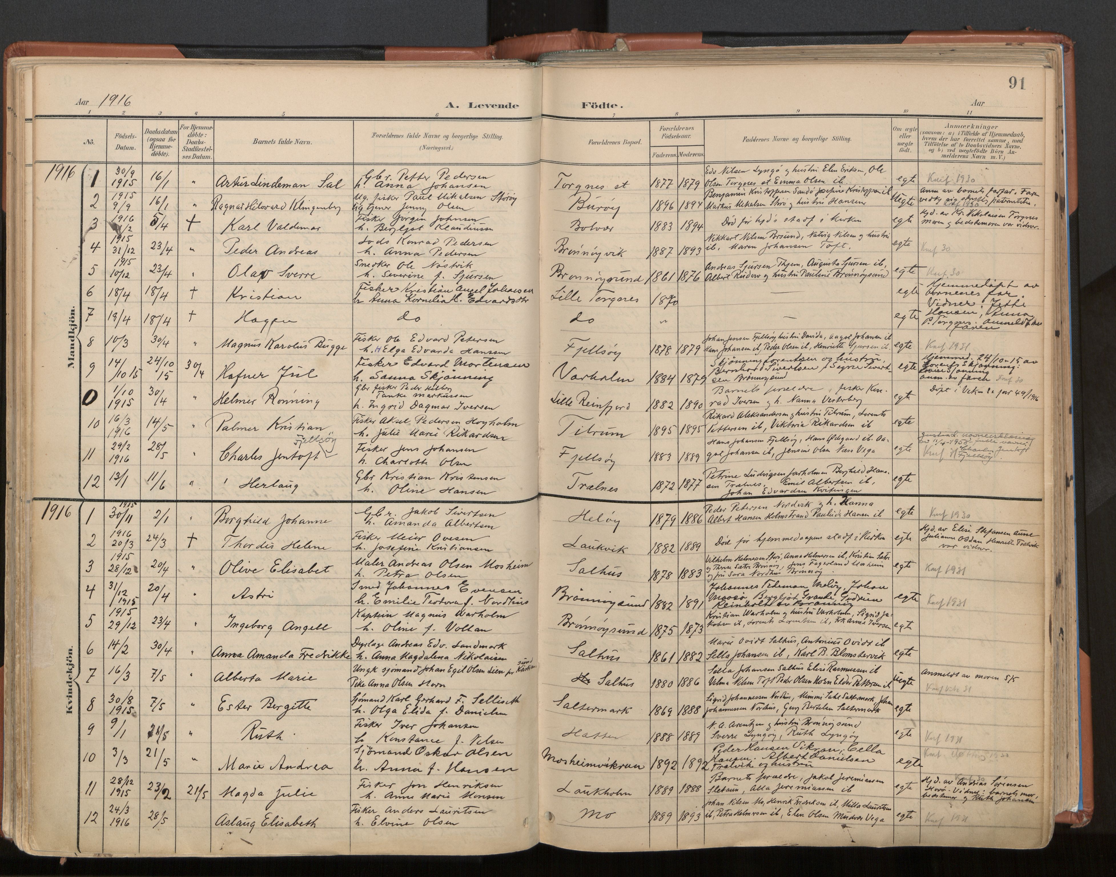Ministerialprotokoller, klokkerbøker og fødselsregistre - Nordland, SAT/A-1459/813/L0201: Parish register (official) no. 813A11, 1901-1918, p. 91