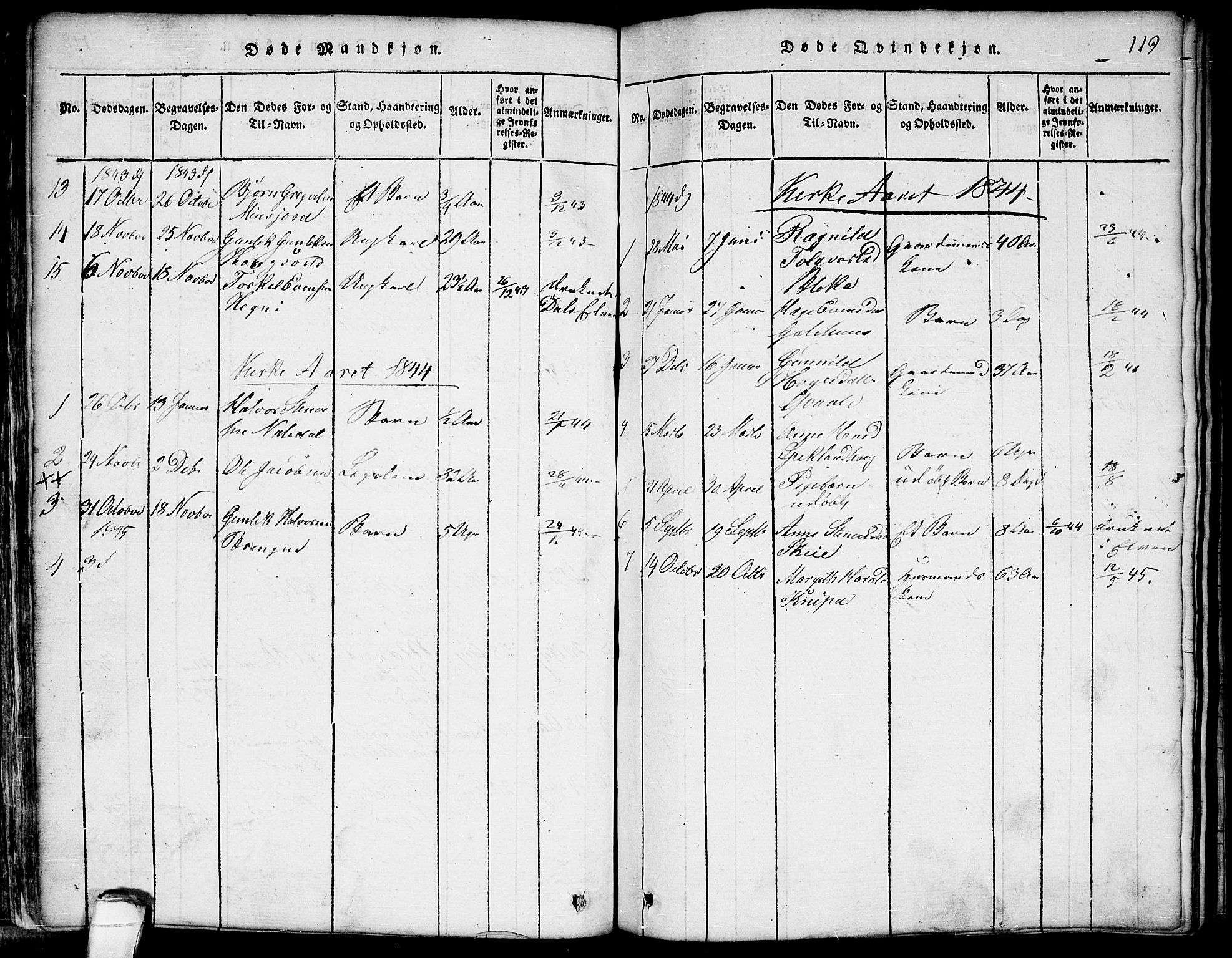 Seljord kirkebøker, SAKO/A-20/G/Gb/L0002: Parish register (copy) no. II 2, 1815-1854, p. 119