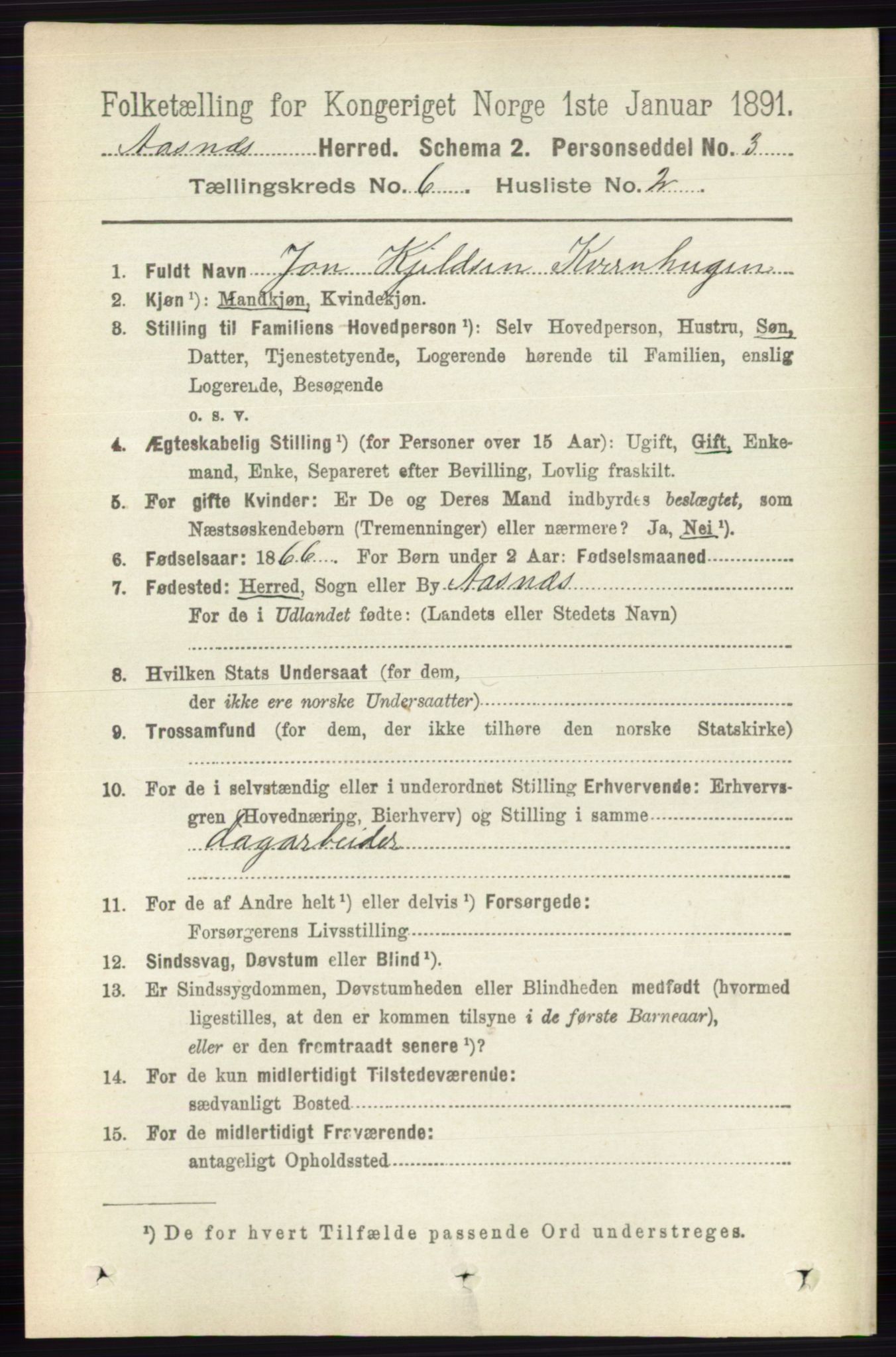 RA, 1891 census for 0425 Åsnes, 1891, p. 2802