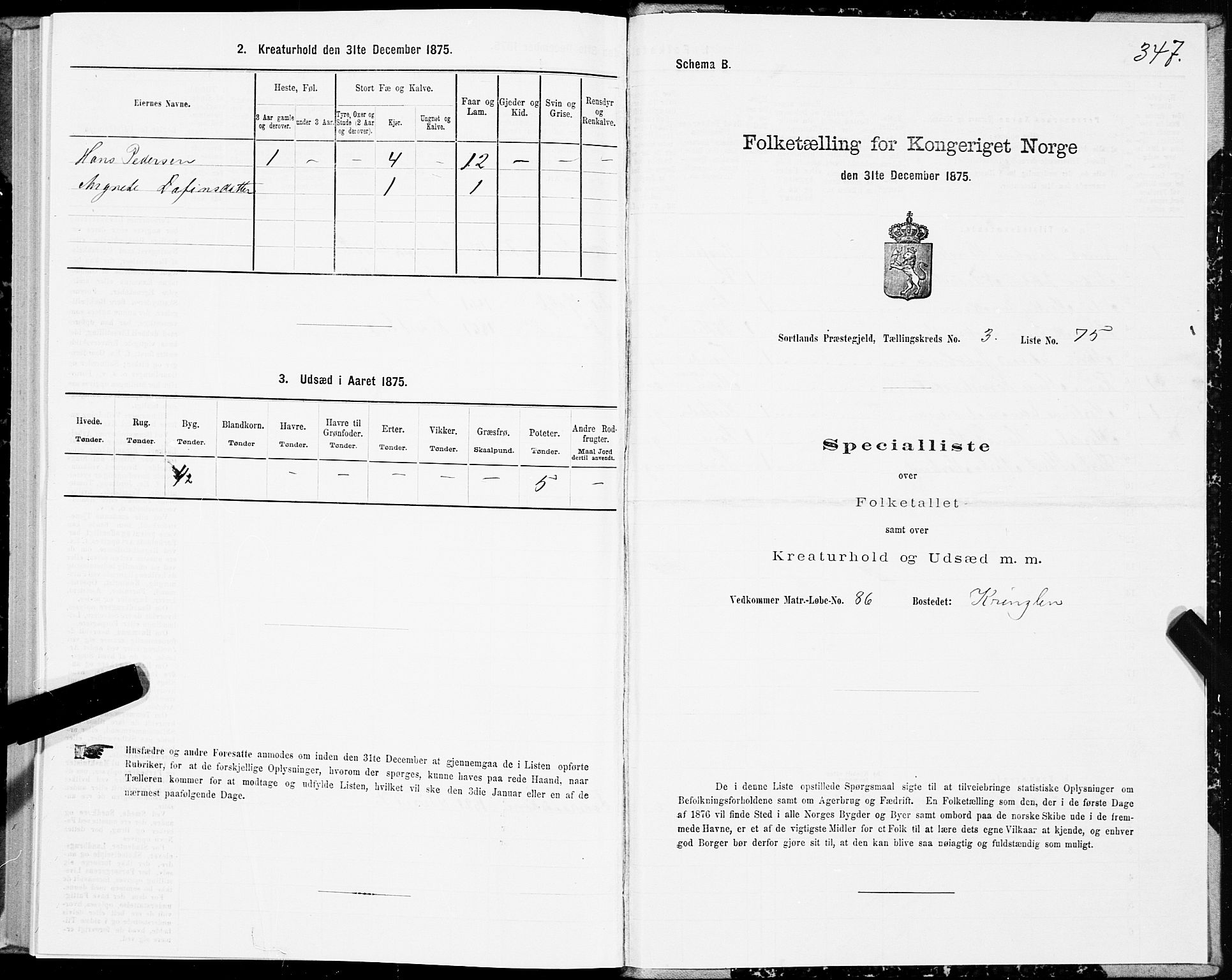 SAT, 1875 census for 1870P Sortland, 1875, p. 2347