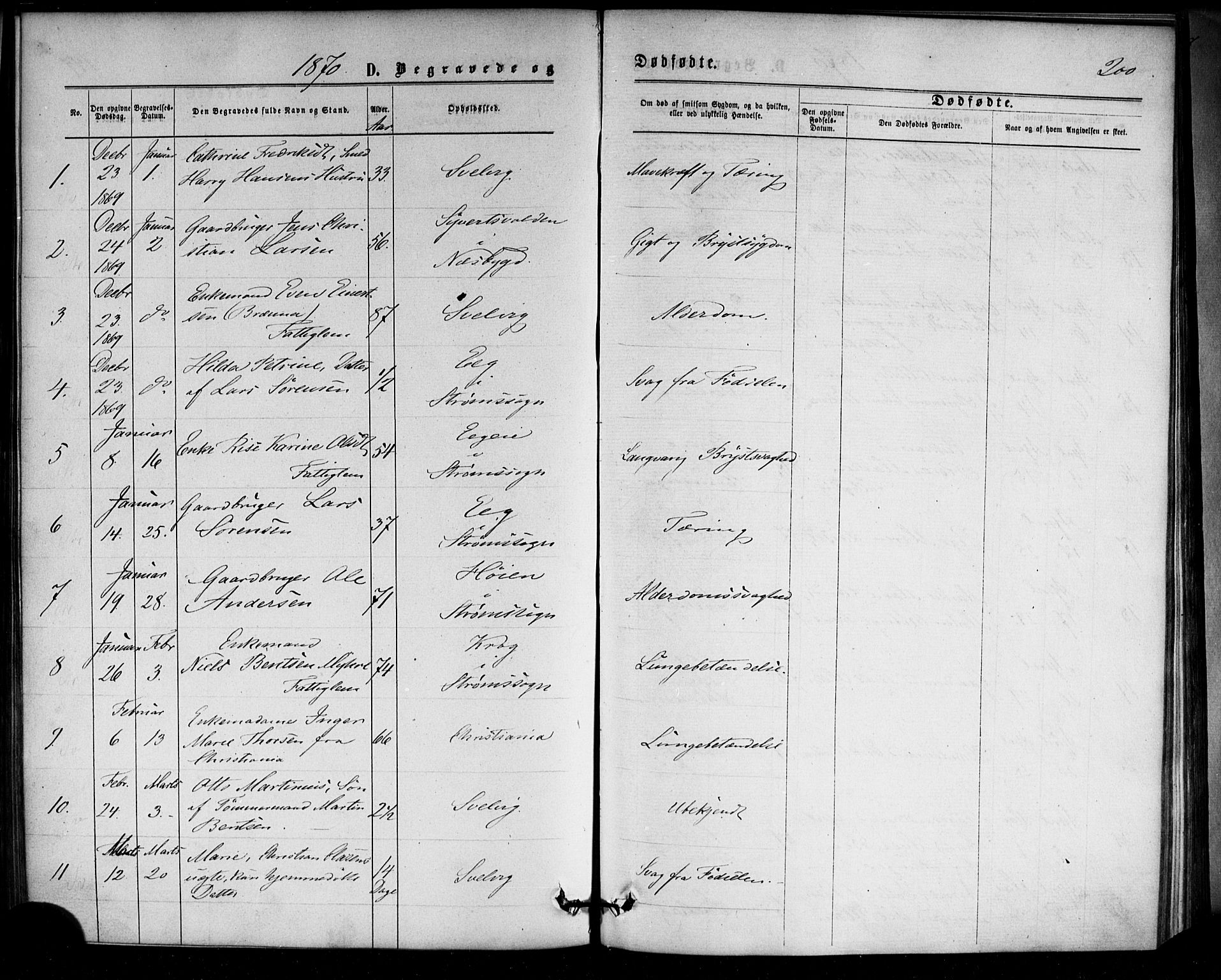 Strømm kirkebøker, SAKO/A-322/F/Fa/L0002: Parish register (official) no. I 2, 1870-1877, p. 200
