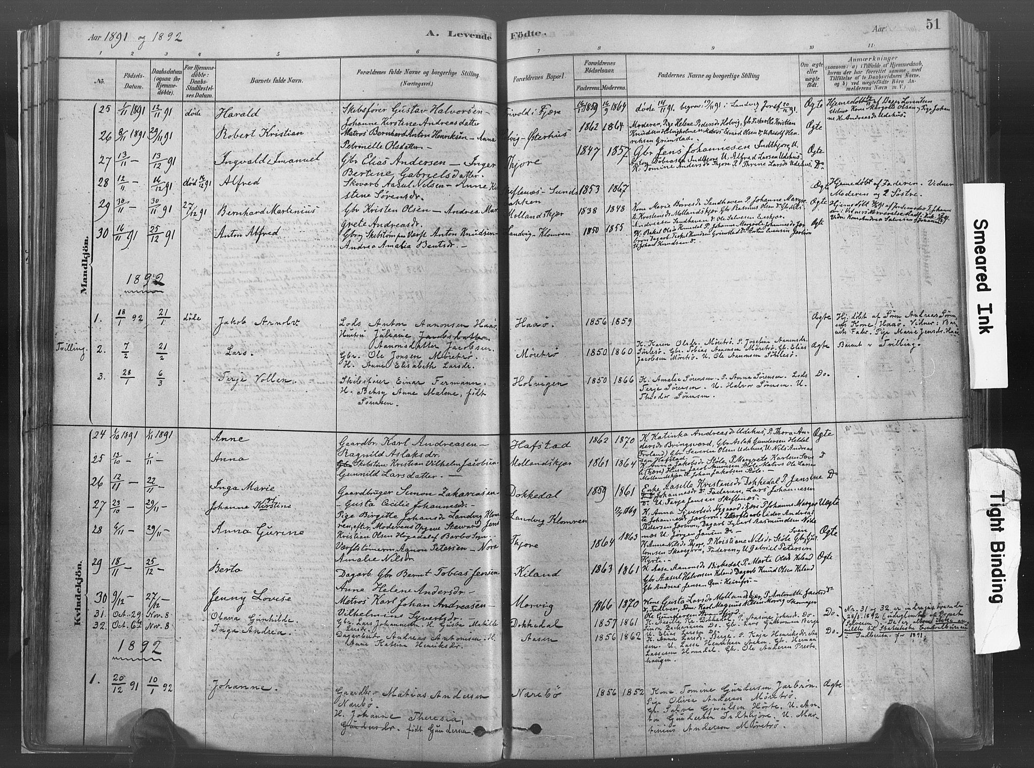 Hommedal sokneprestkontor, SAK/1111-0023/F/Fa/Fab/L0006: Parish register (official) no. A 6, 1878-1897, p. 51
