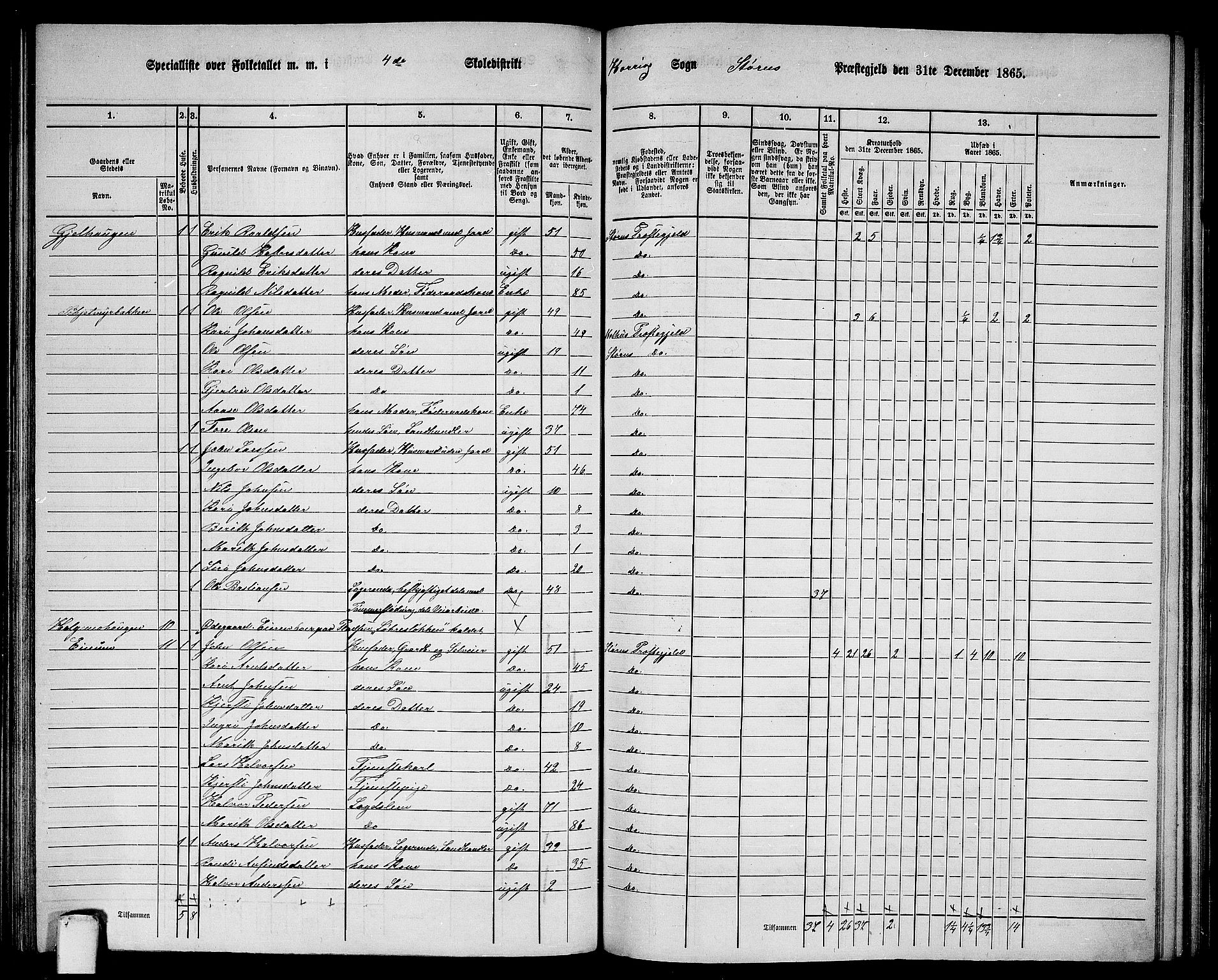 RA, 1865 census for Støren, 1865, p. 176