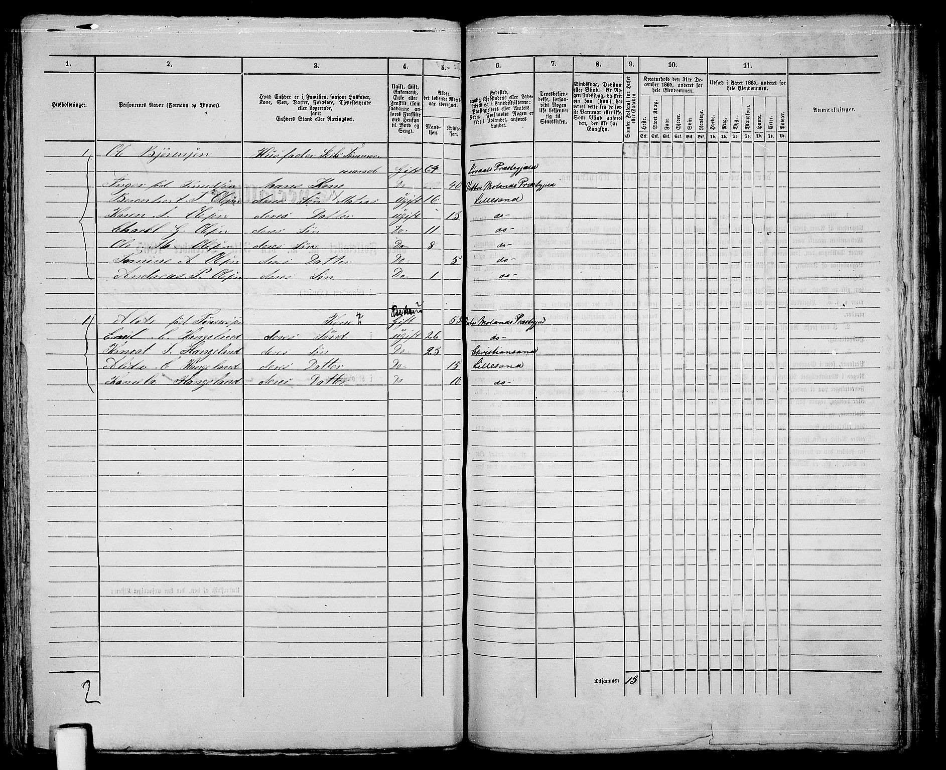 RA, 1865 census for Vestre Moland/Lillesand, 1865, p. 250