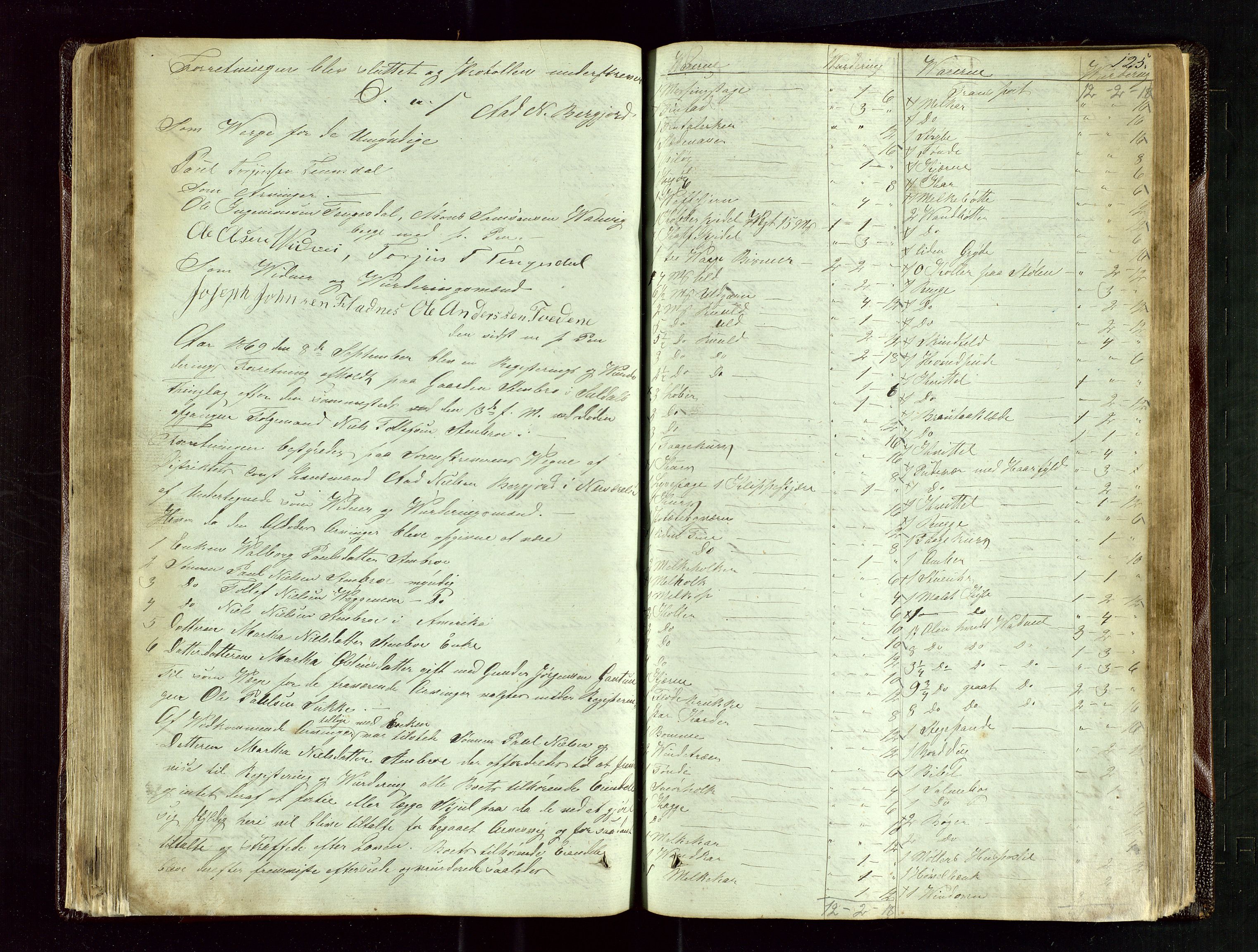 Ryfylke tingrett, AV/SAST-A-100055/001/IV/IVE/L0004: Skifteregistreringsprotokoll Suldal, 1851-1877, p. 125